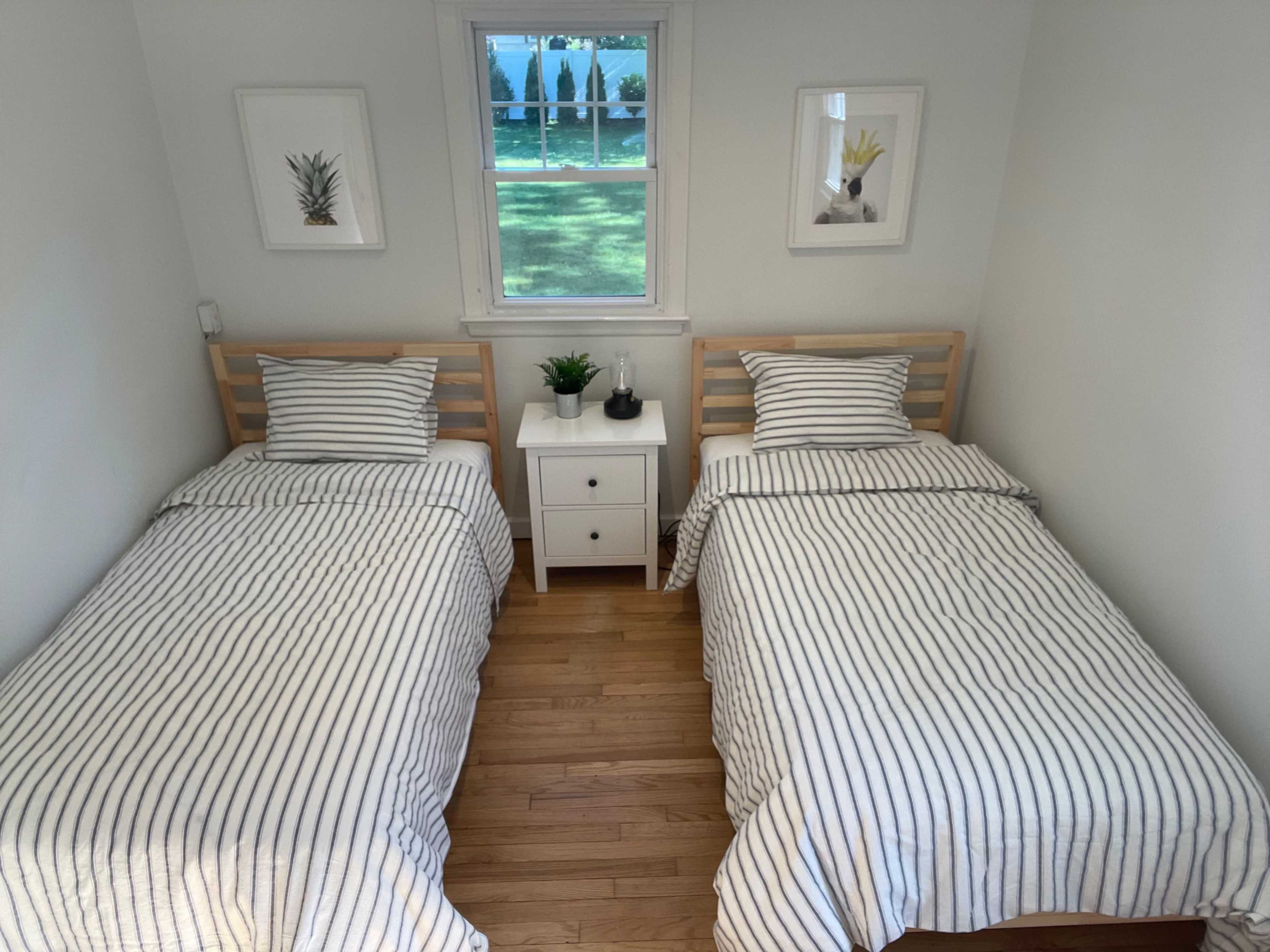 Stylish+Modern Hamptons Cape with Saltwater Pool - 5 minutes to Beach Image in Southampton, Hampton Bays, NY