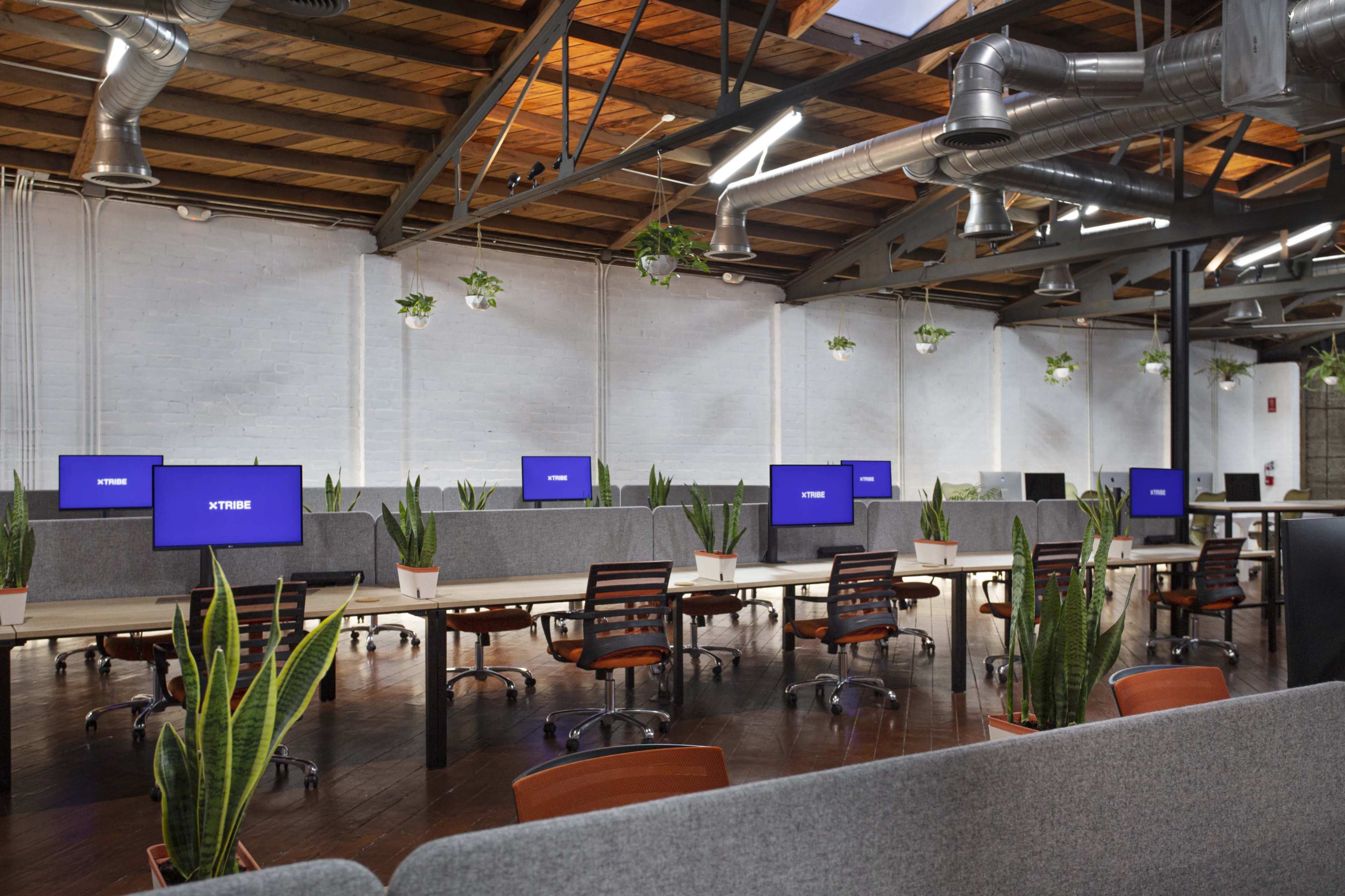 The image shows a modern office space featuring multiple workstations with computer monitors, potted plants, and wooden beams overhead.