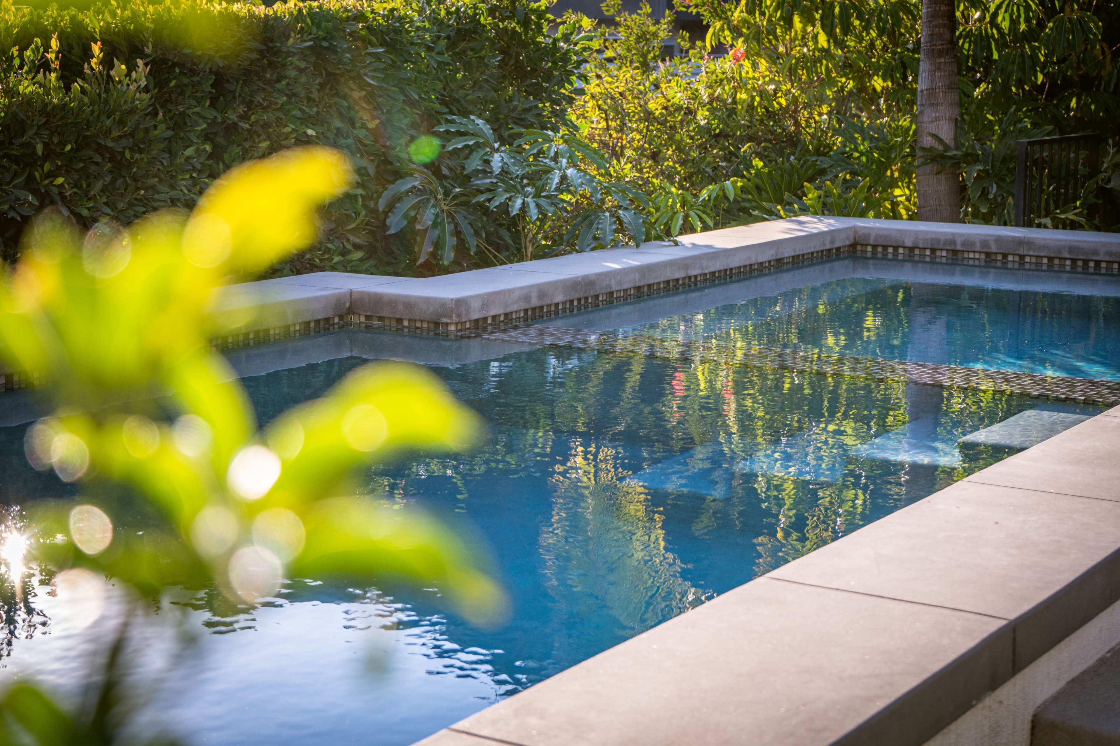 A clear swimming pool surrounded by lush greenery and reflected sunlight.