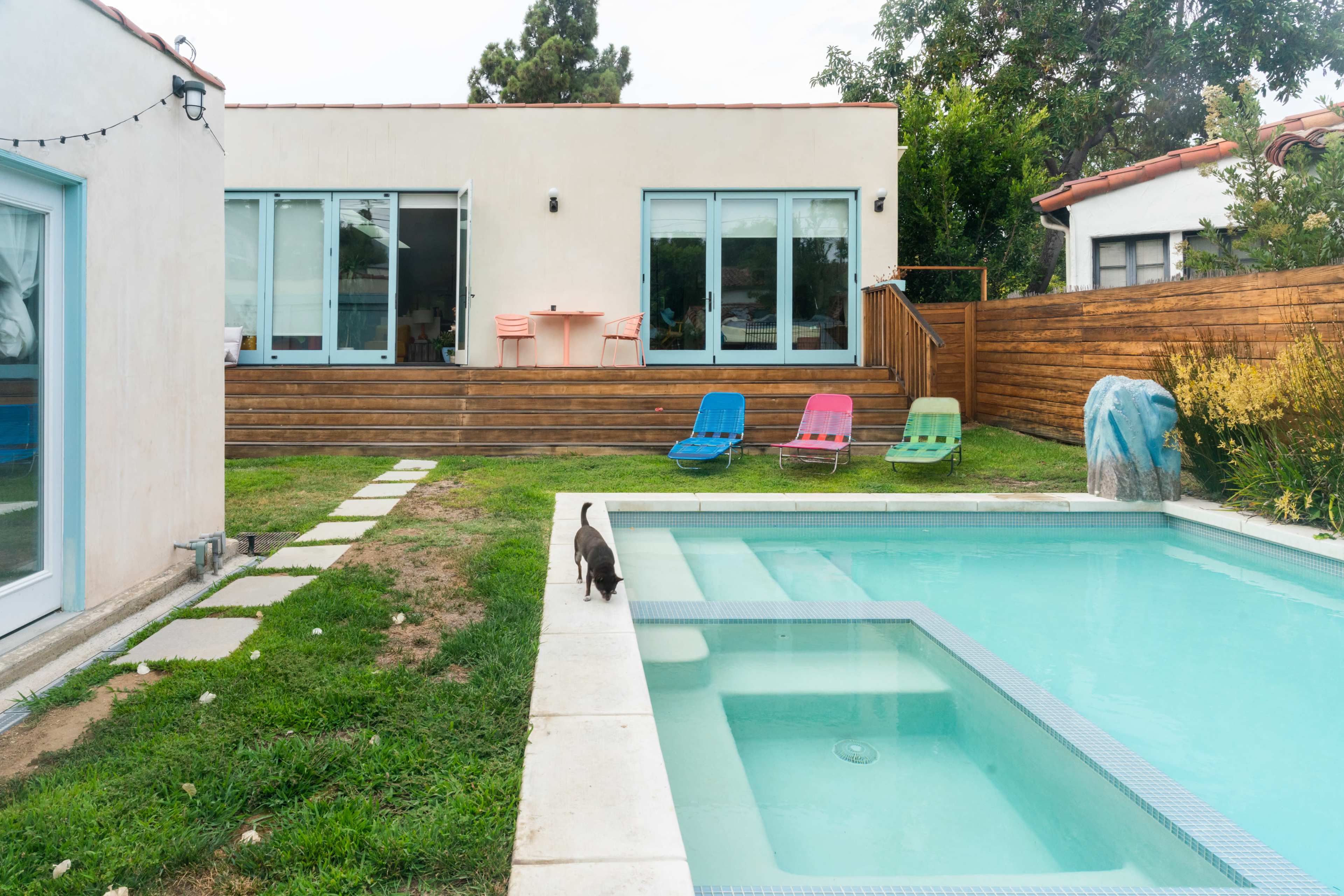 A cat walks alongside a swimming pool in a backyard with a landscaped area and a house featuring large windows and a wooden deck.