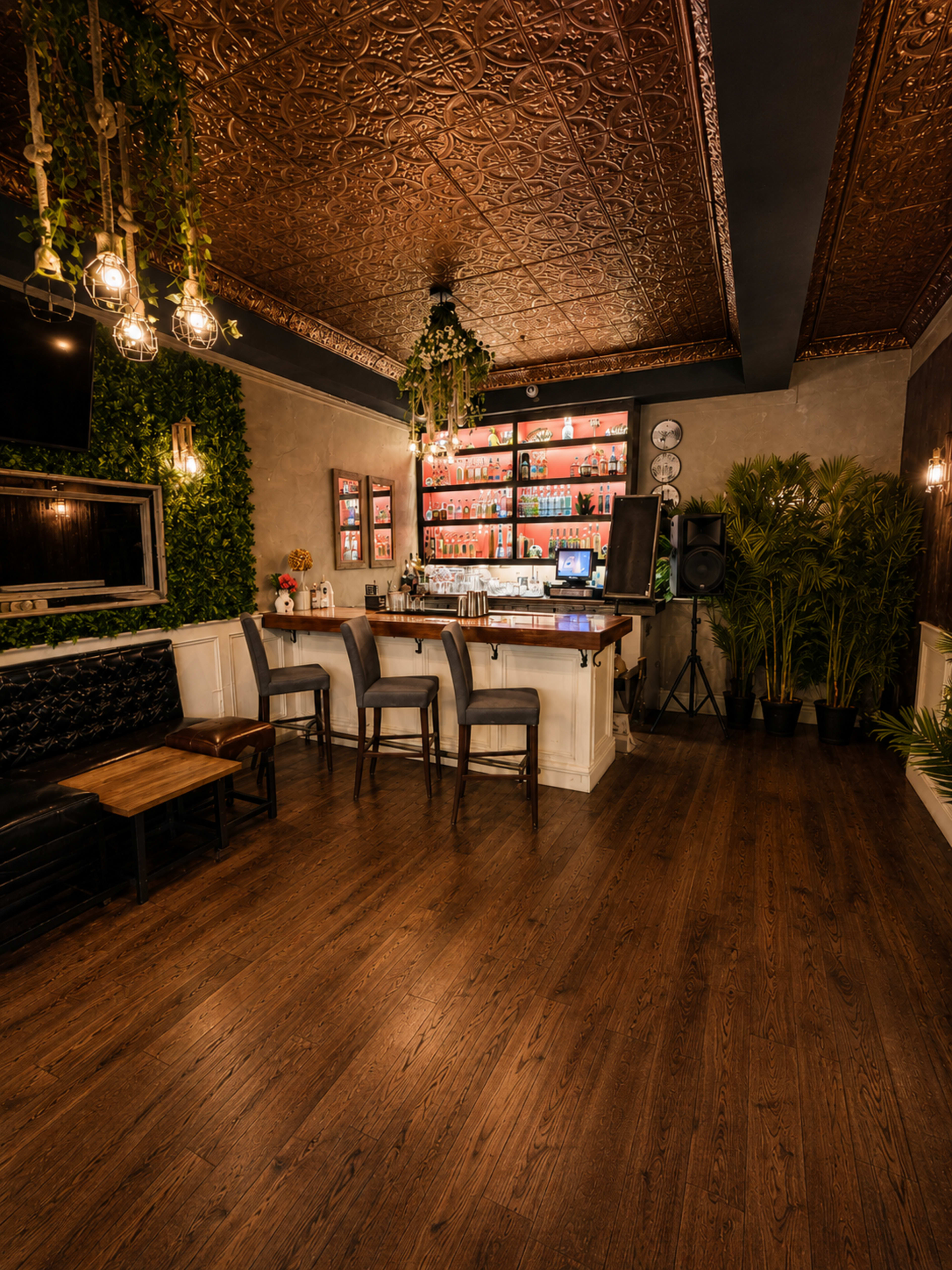 The image shows a stylish bar interior featuring a wooden floor, a backlit bar shelf with various bottles, and decorative plants throughout the space.