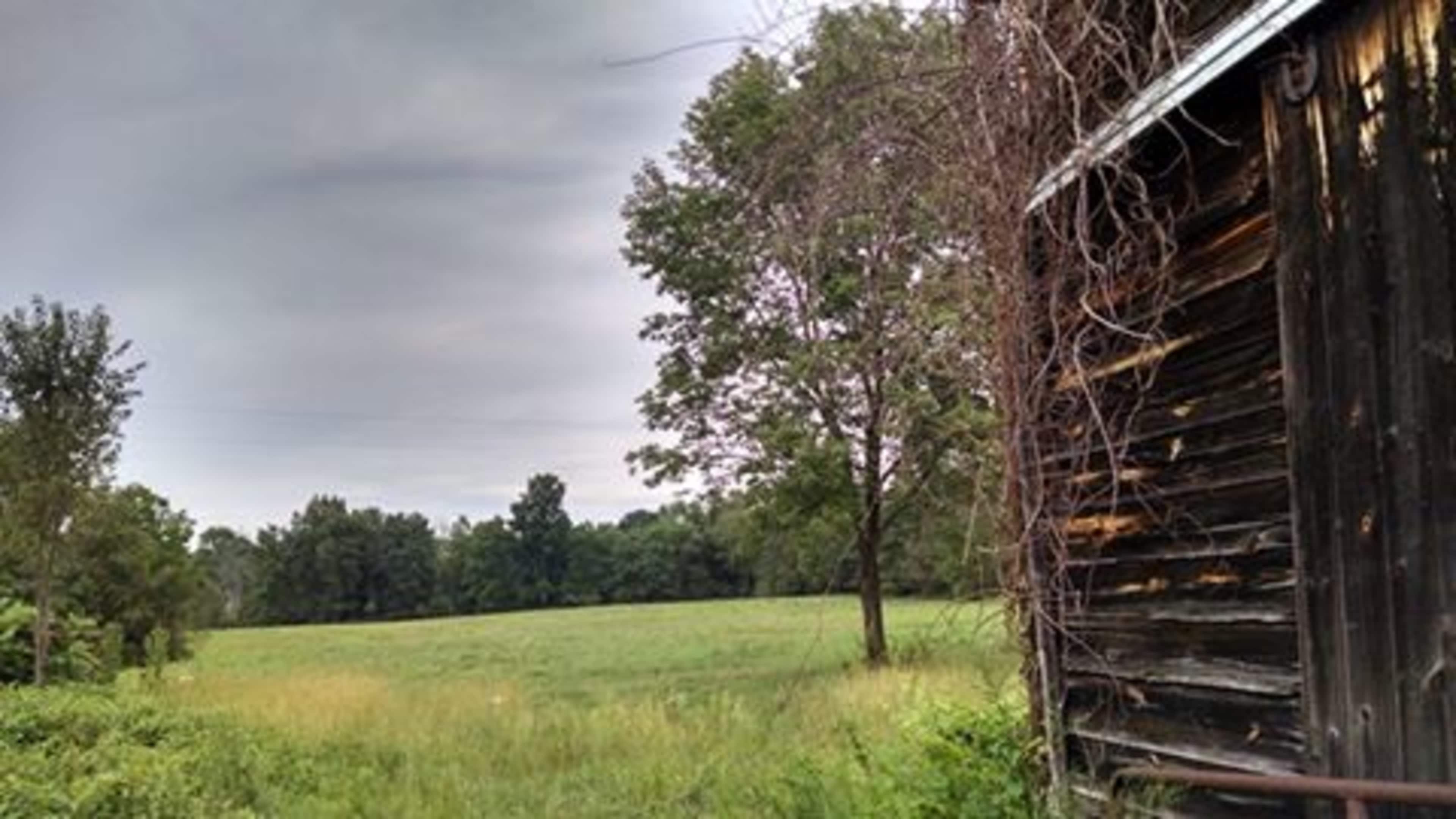 A weathered wooden structure is situated near a grassy field, framed by trees under a cloudy sky.