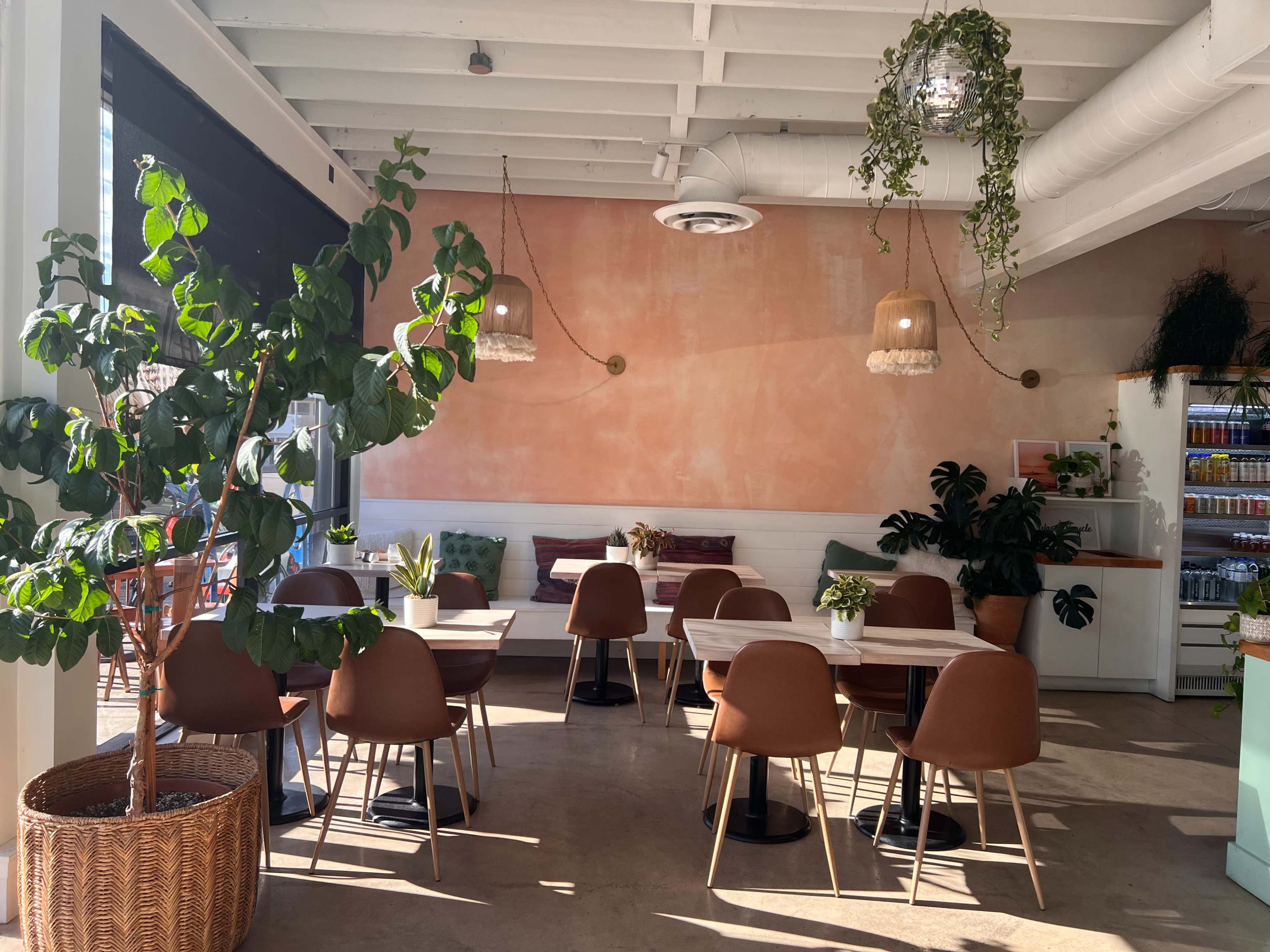 The image shows a light-filled café interior with wooden tables, brown chairs, hanging light fixtures, and green plants against a peach-colored wall.