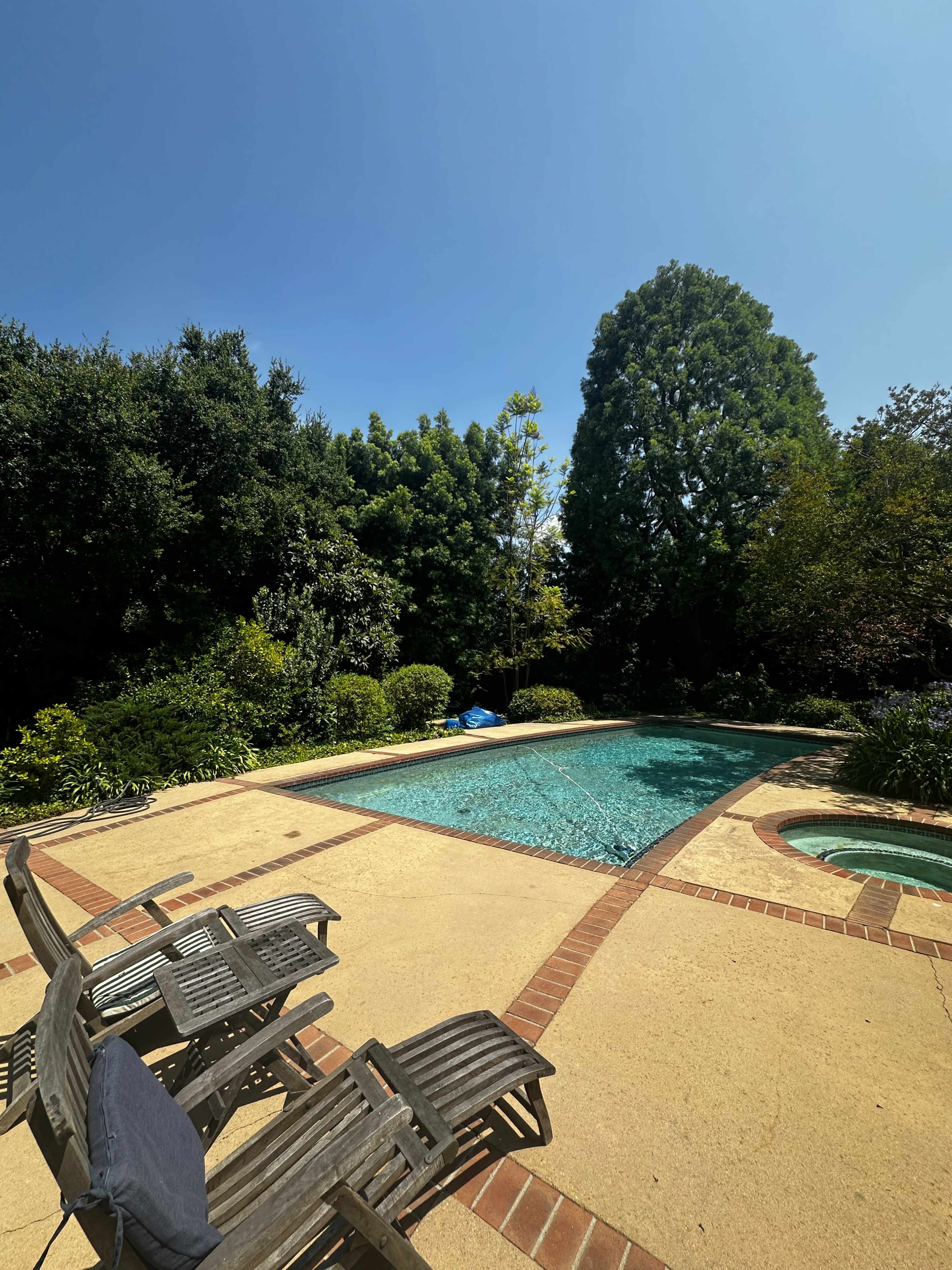 A swimming pool is located in a landscaped backyard, surrounded by greenery and sunlight.