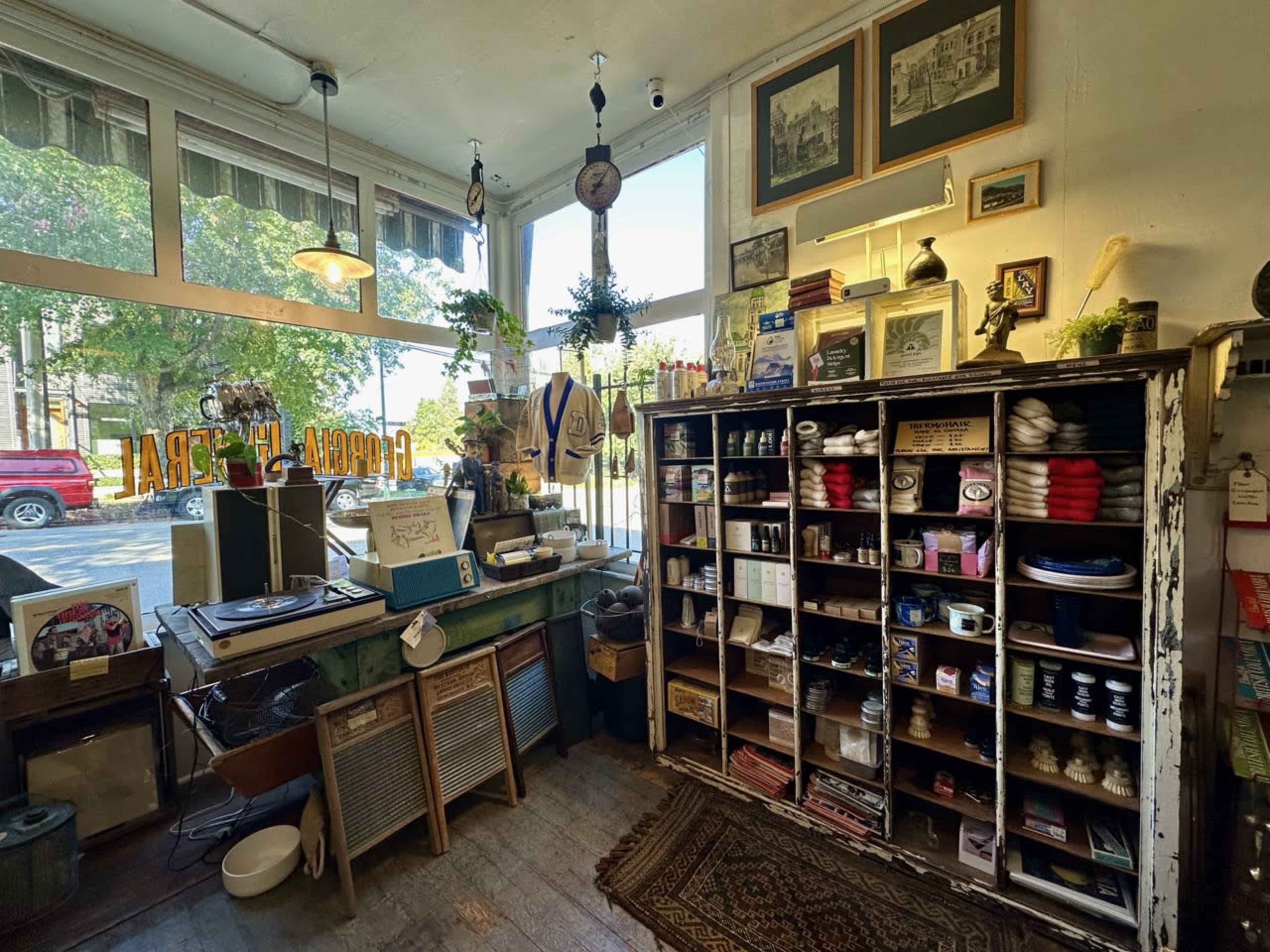 Vintage plant paradise in heritage shop that feels like home Image in Grandview-Woodland, Vancouver, BC