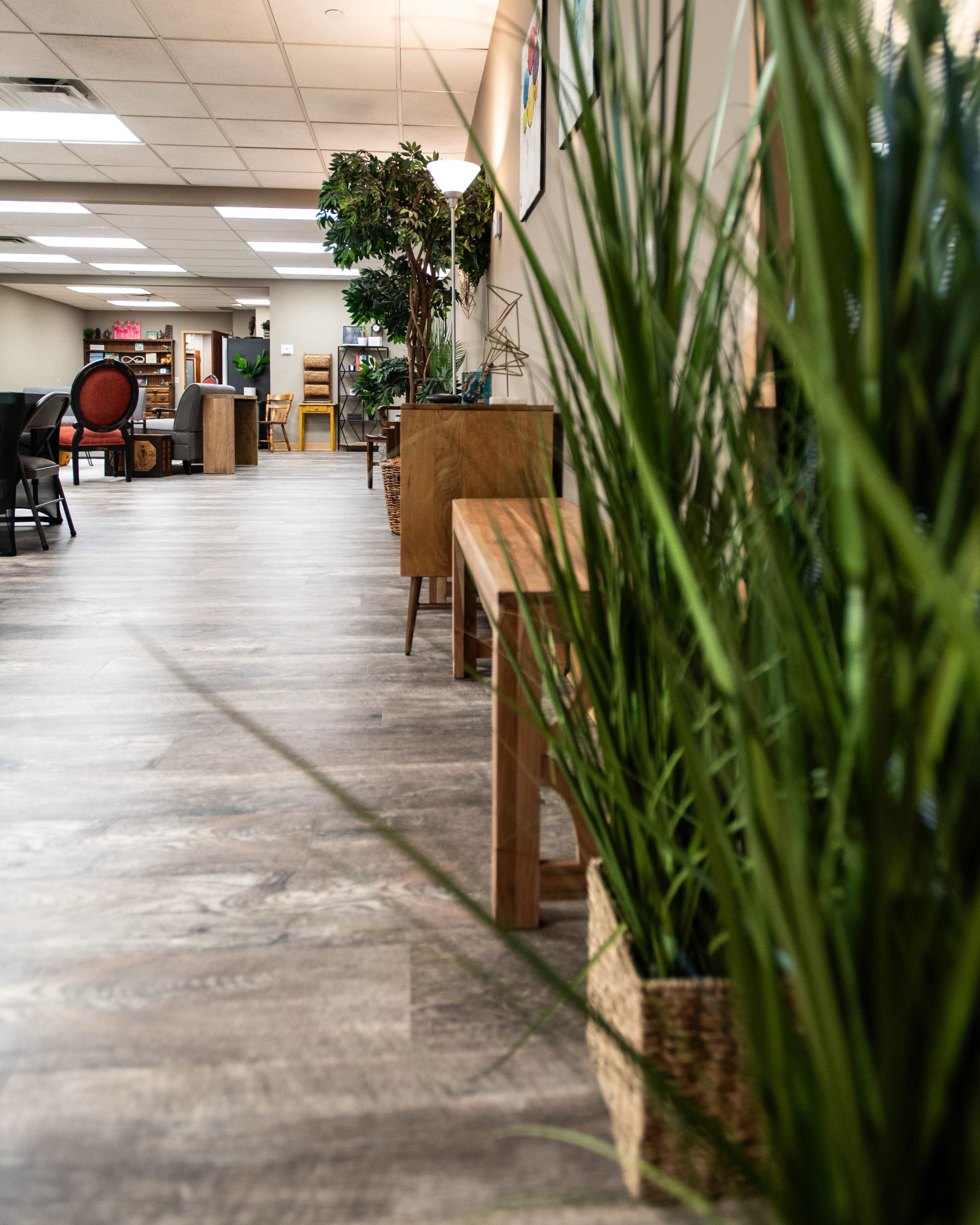 A narrow hallway features wooden furniture, potted plants, and a well-lit open space leading to various rooms.