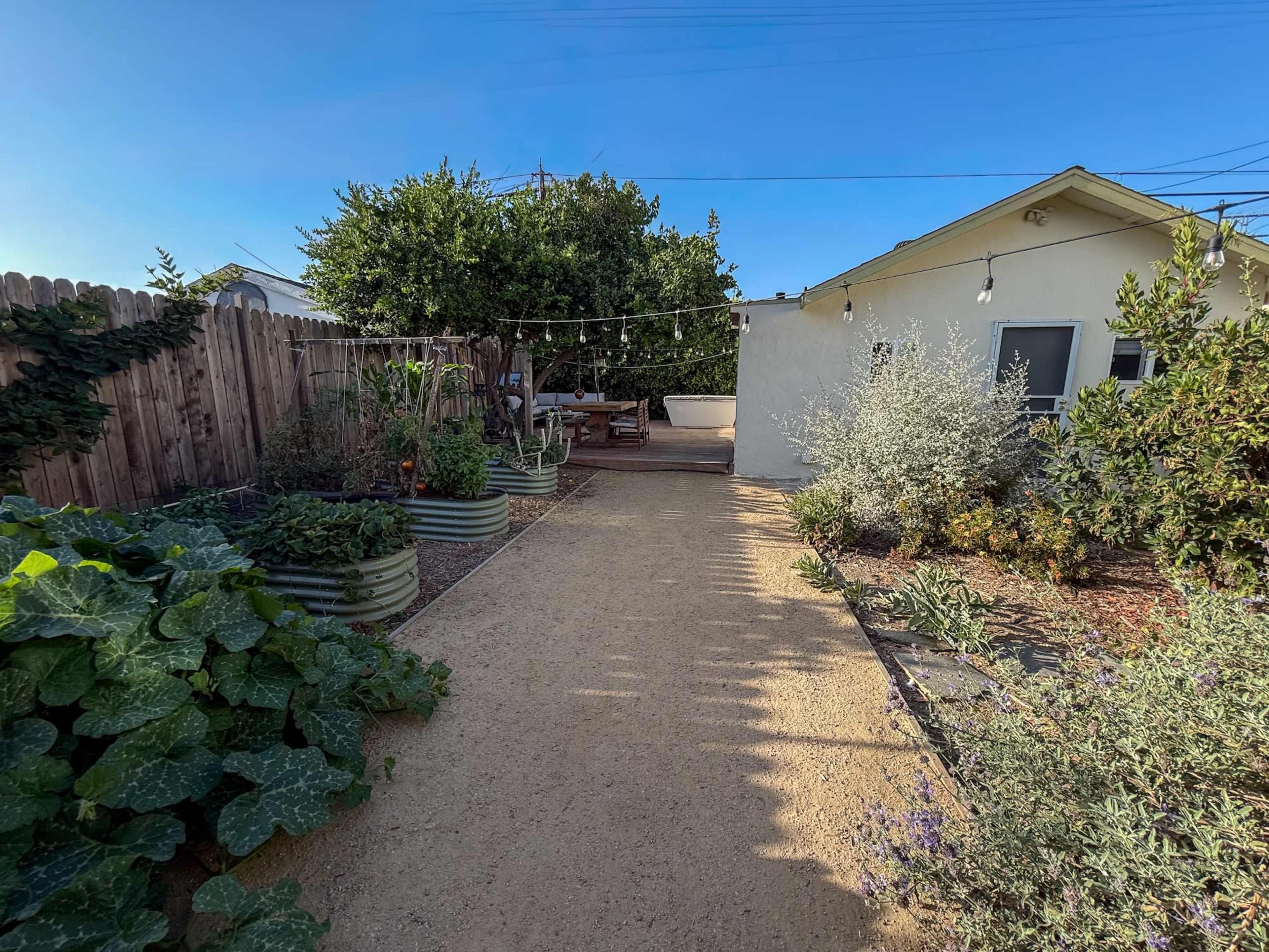 The image shows a clear pathway leading to a small, white house surrounded by various plants and garden beds on either side.