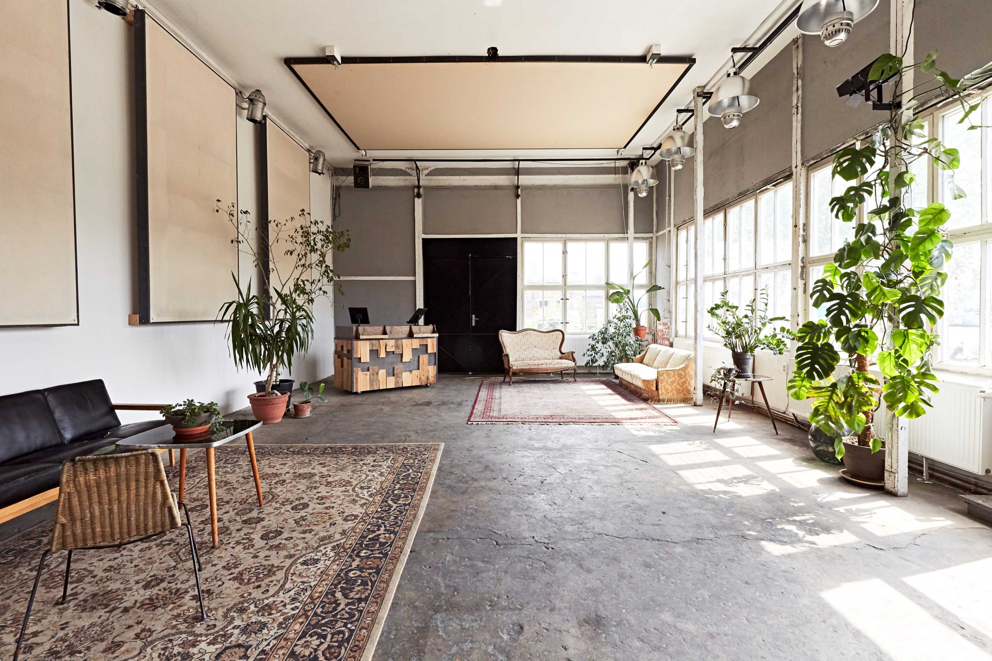 A spacious, well-lit interior features large windows, plants, a reception desk, and a seating area with rugs on a concrete floor.