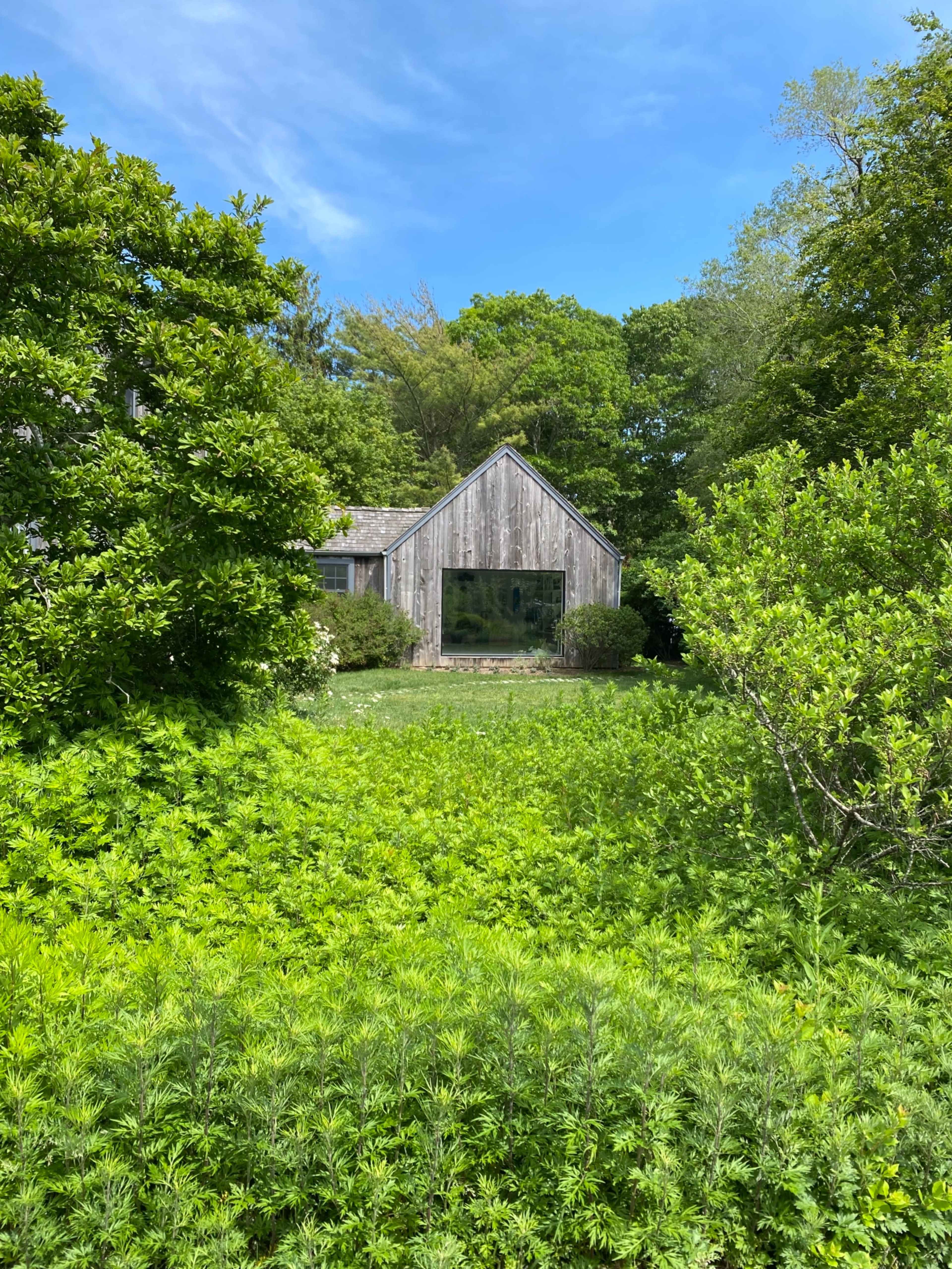 A weathered wooden house is surrounded by lush greenery and trees under a clear blue sky.