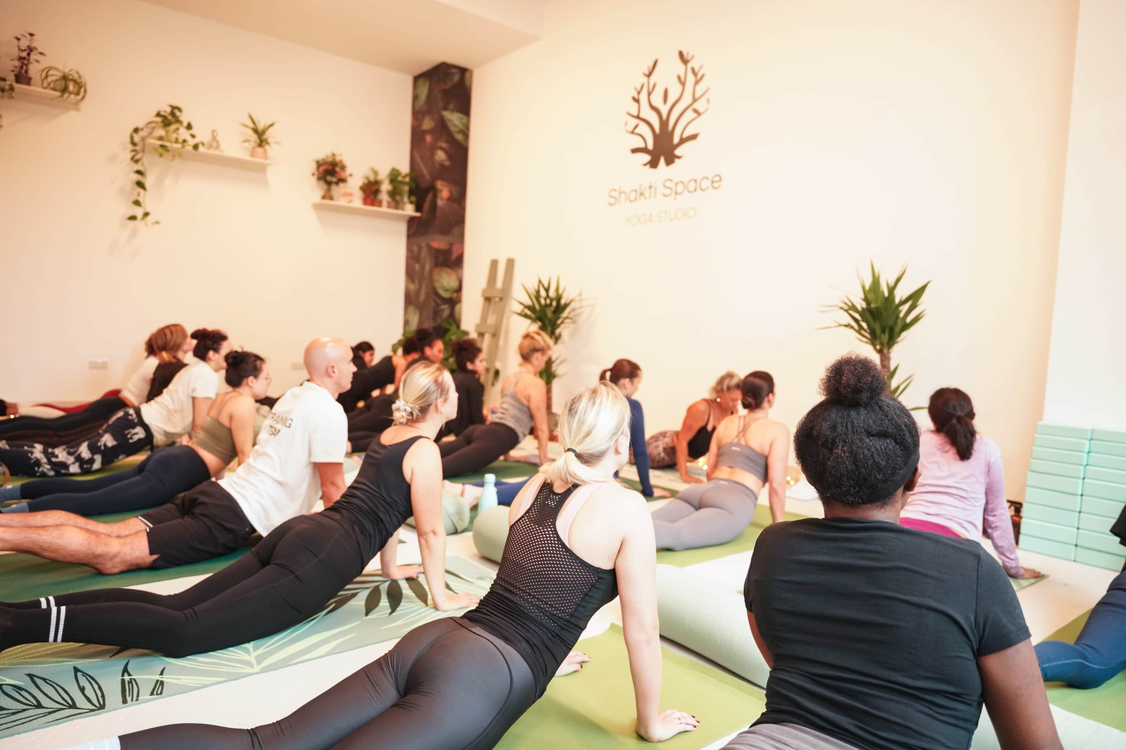 A group of individuals practices yoga in a studio with a decorative wall featuring a tree logo.