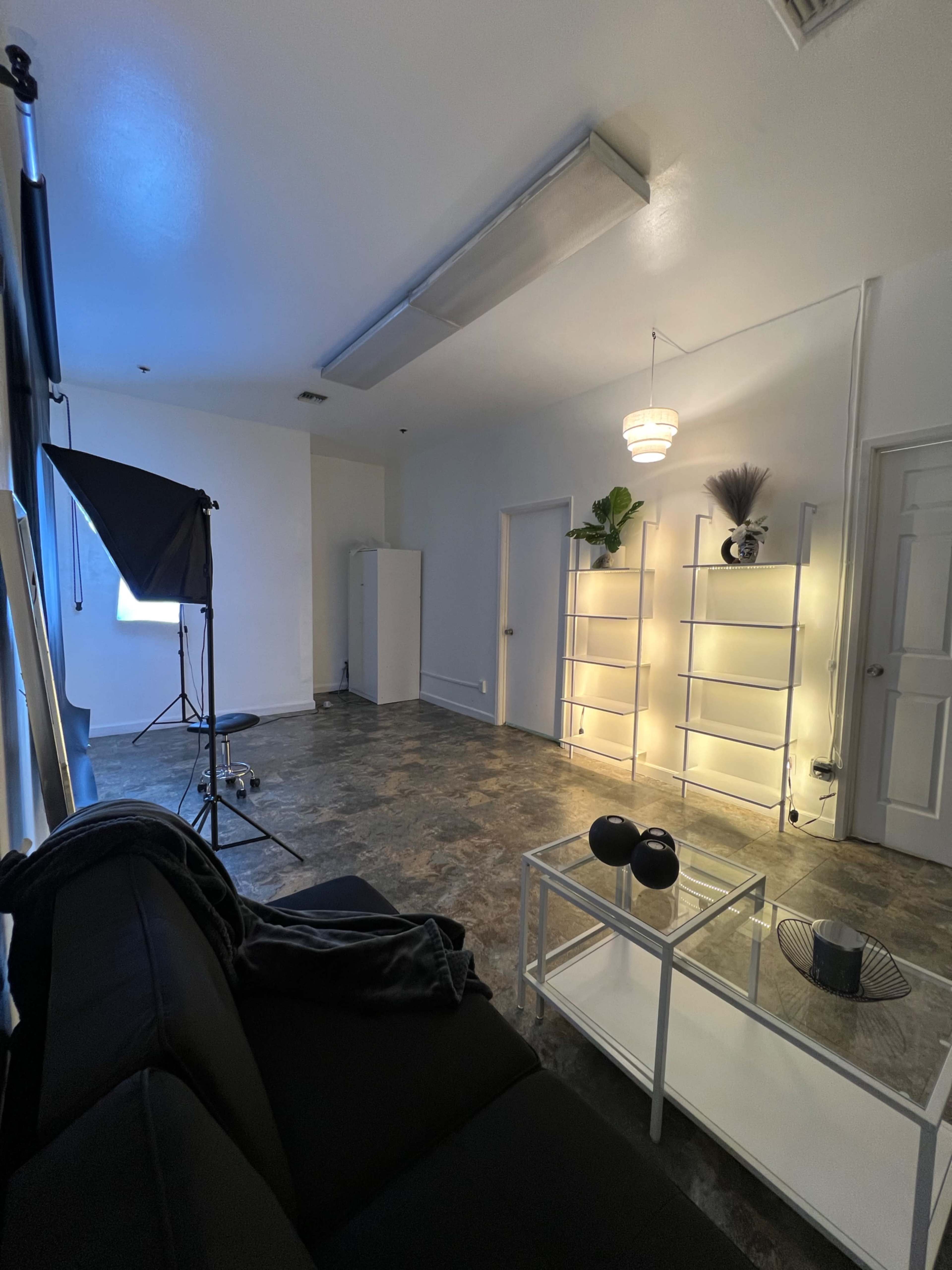 A minimalistic, well-lit room featuring a black sofa, a white shelving unit with plants, and a photography light setup.