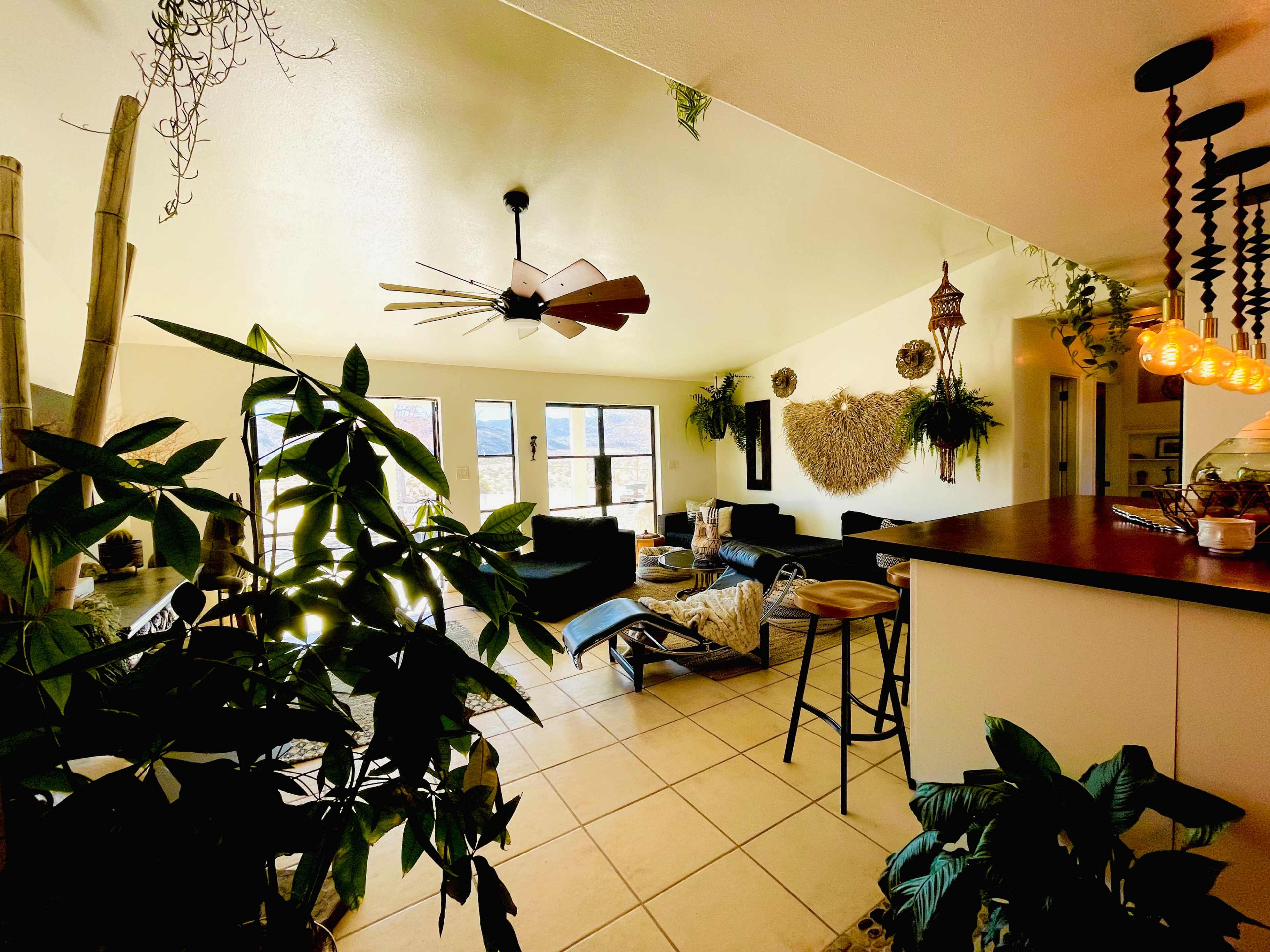 The image shows a bright living space with a ceiling fan, large windows, and a kitchen counter, surrounded by plants and brown leather furniture.