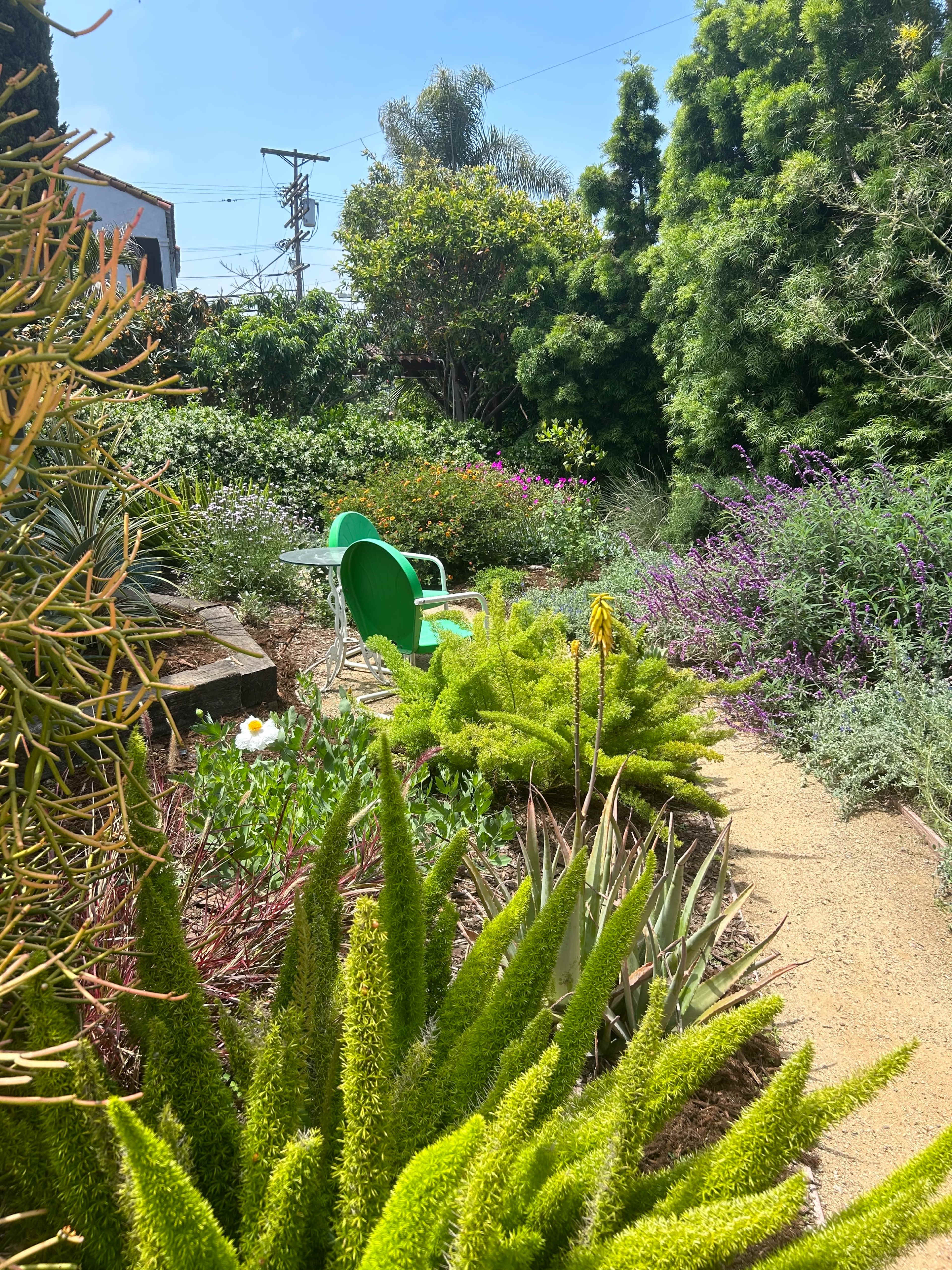 A green chair sits amidst a vibrant garden filled with various plants and flowers along a winding path.
