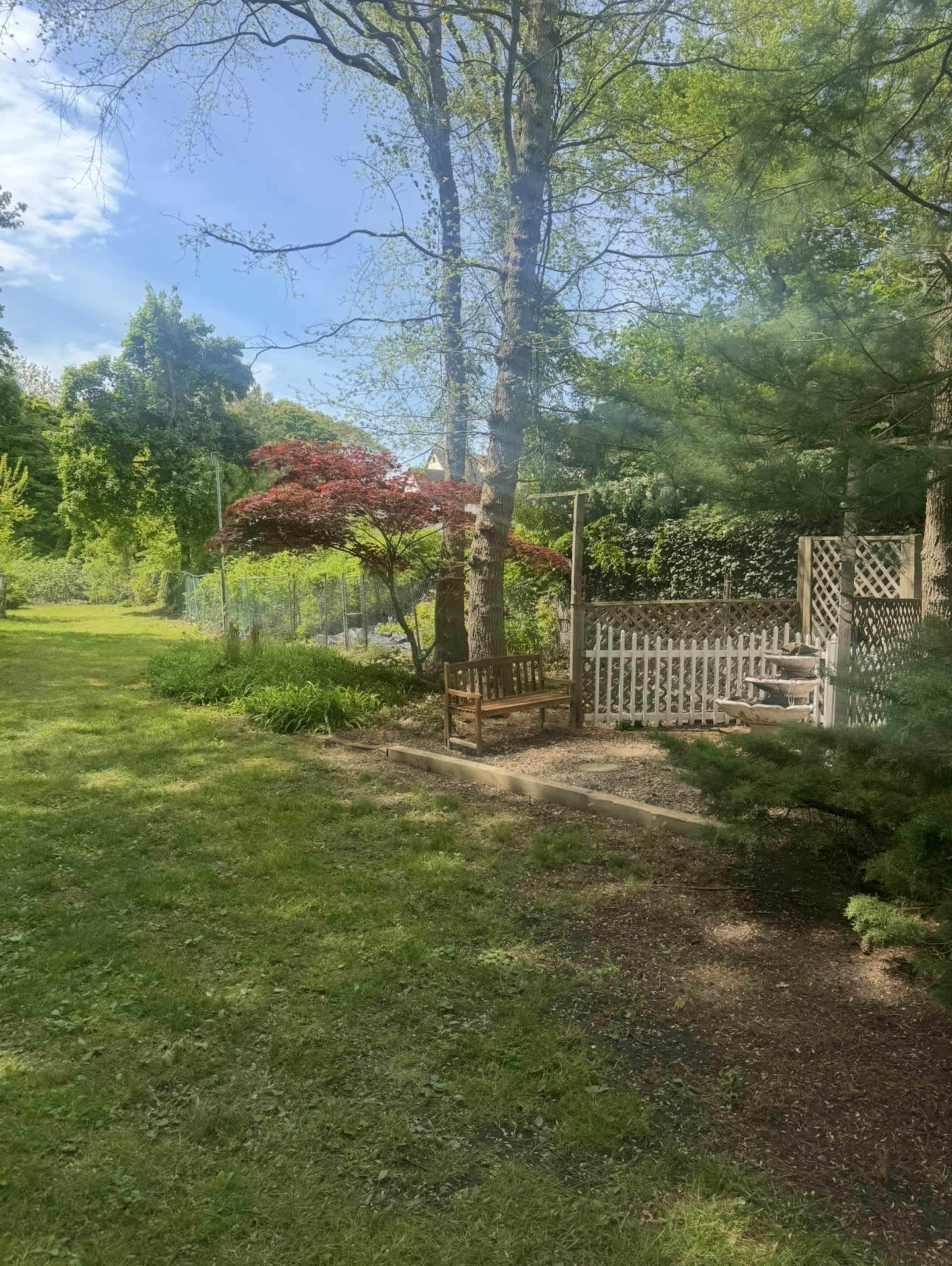 The image shows a tranquil garden area featuring a wooden bench near a red maple tree, surrounded by lush greenery and a white picket fence.