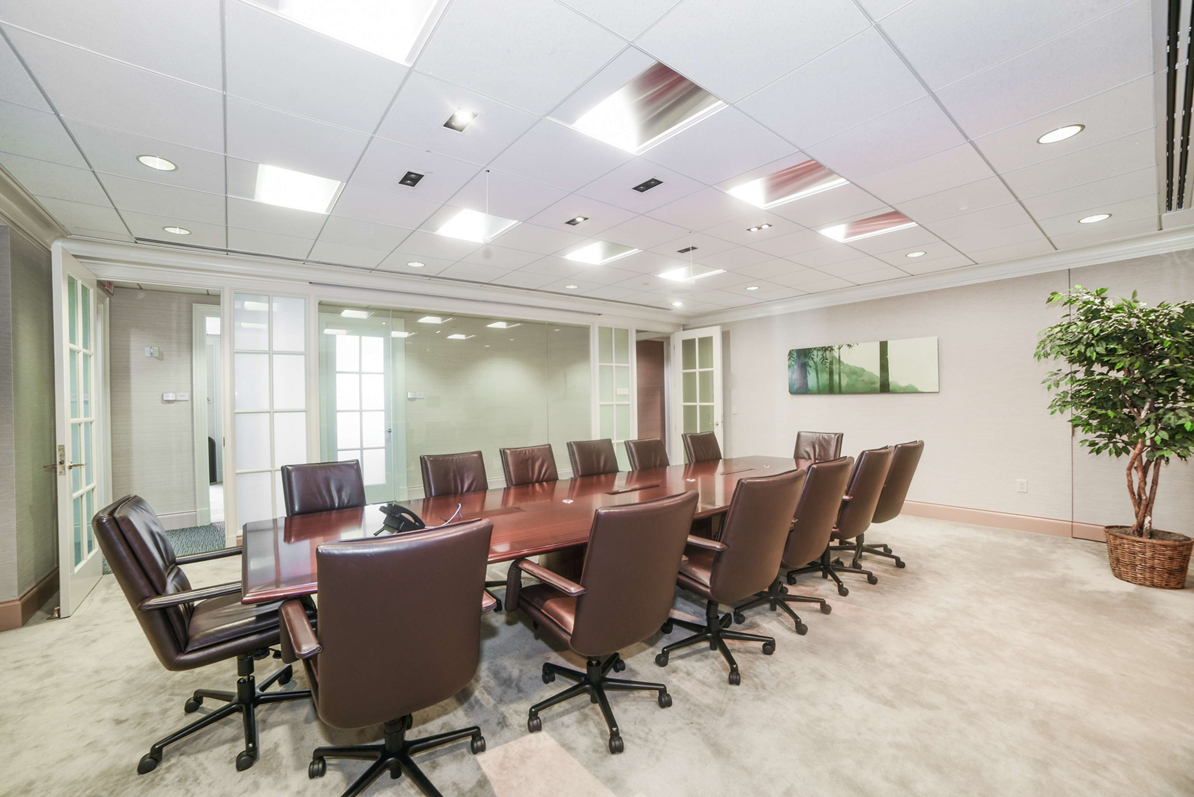 A large conference room features a long wooden table surrounded by office chairs and a potted plant in the corner.
