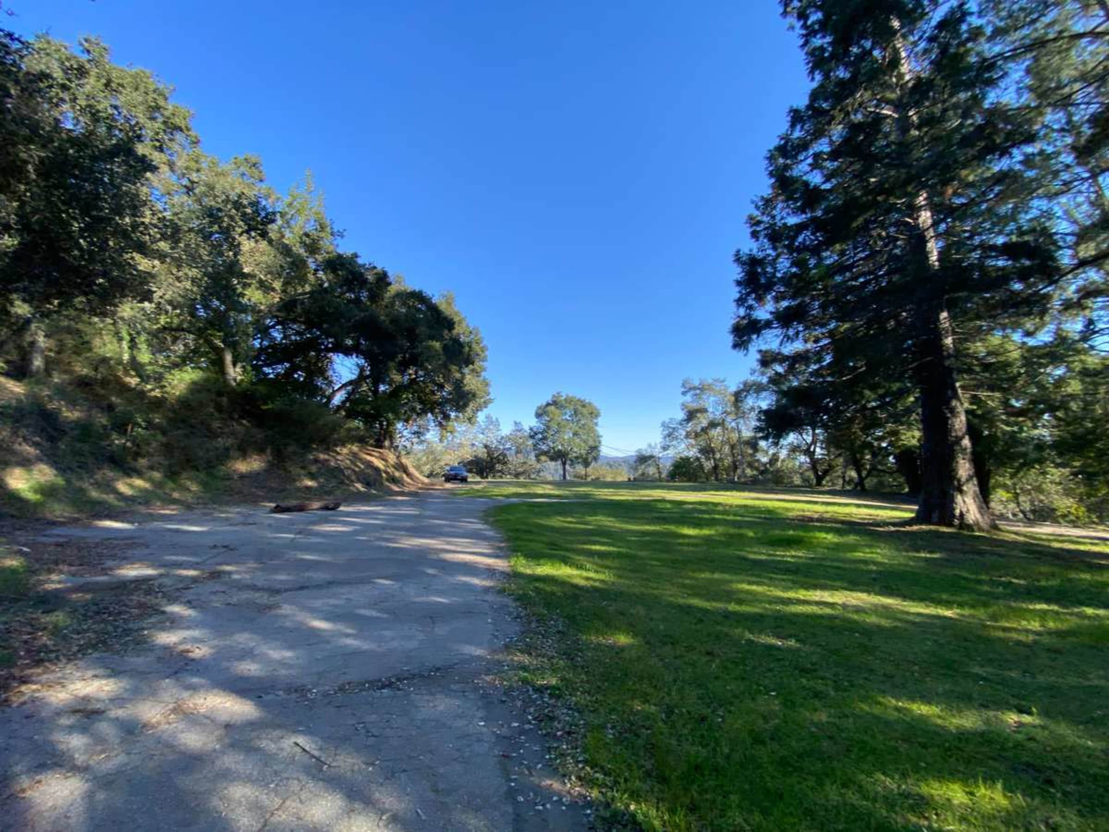 A wide, grassy area next to a partially paved path, with trees lining both sides under a clear blue sky.