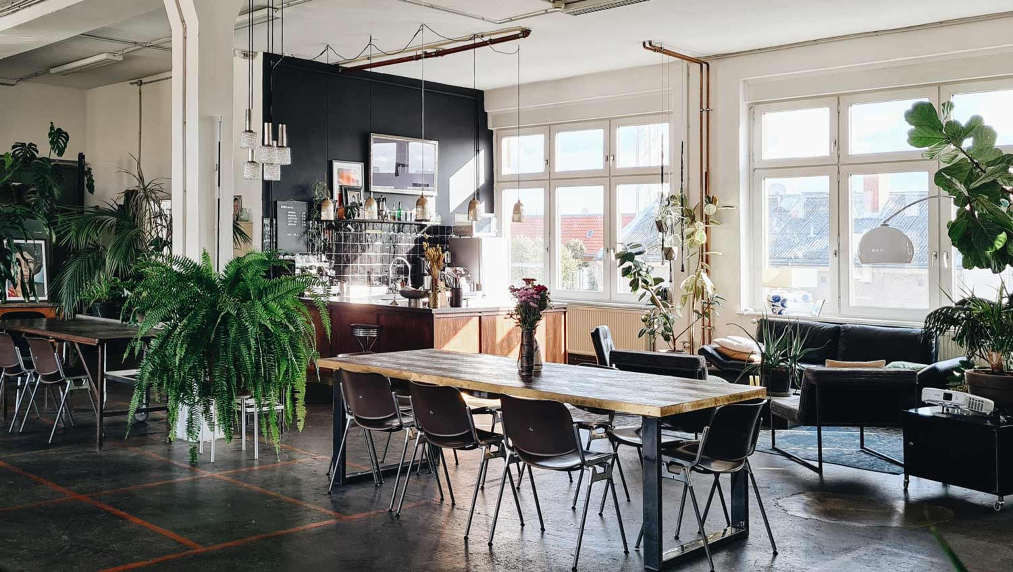 The image shows a spacious, modern café with large windows, a wooden table, metal chairs, and various plants decoratively arranged throughout the space.