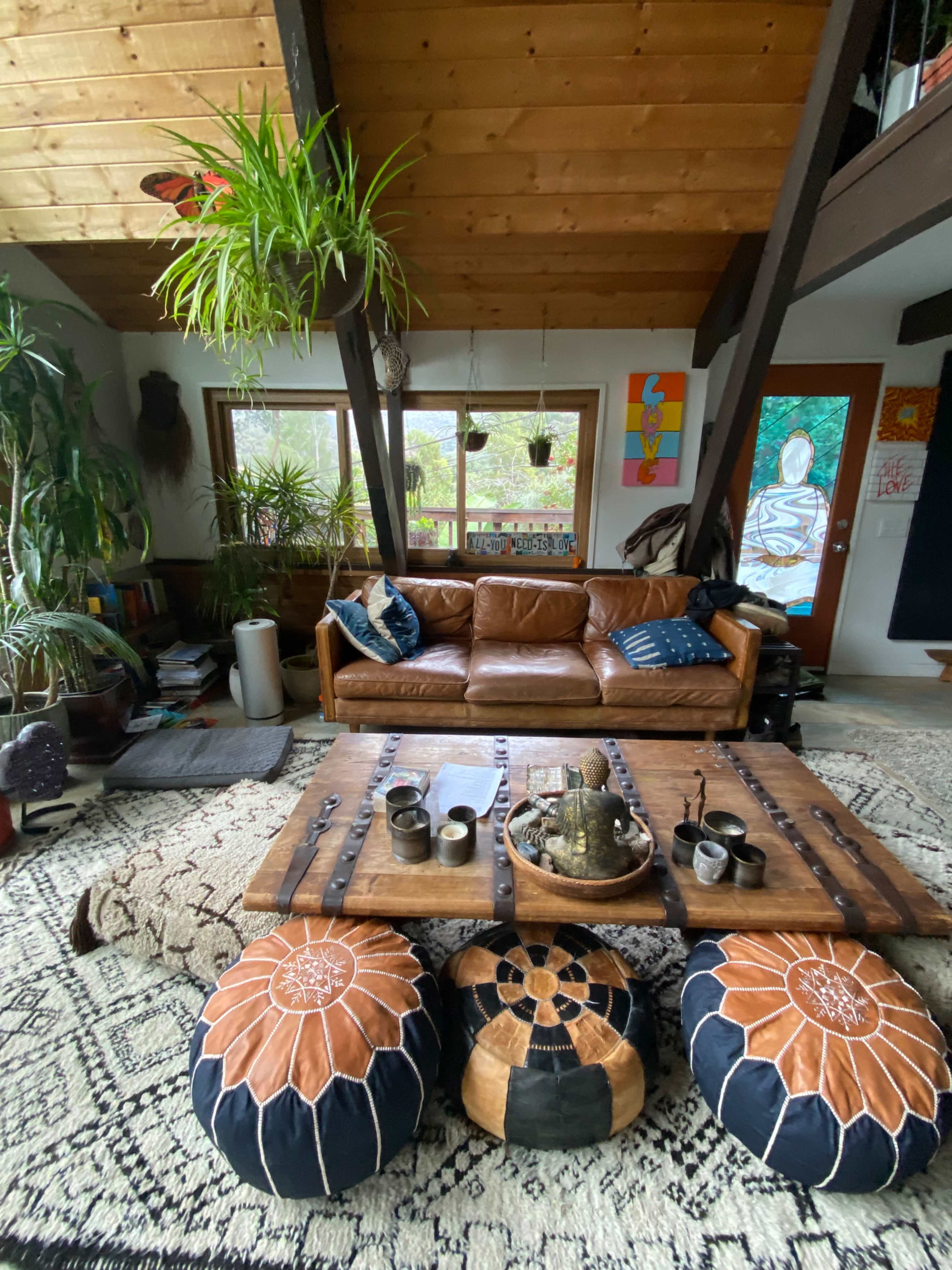 A cozy living room with a brown leather couch, a wooden coffee table, decorative pillows, and plants suspended from the ceiling.