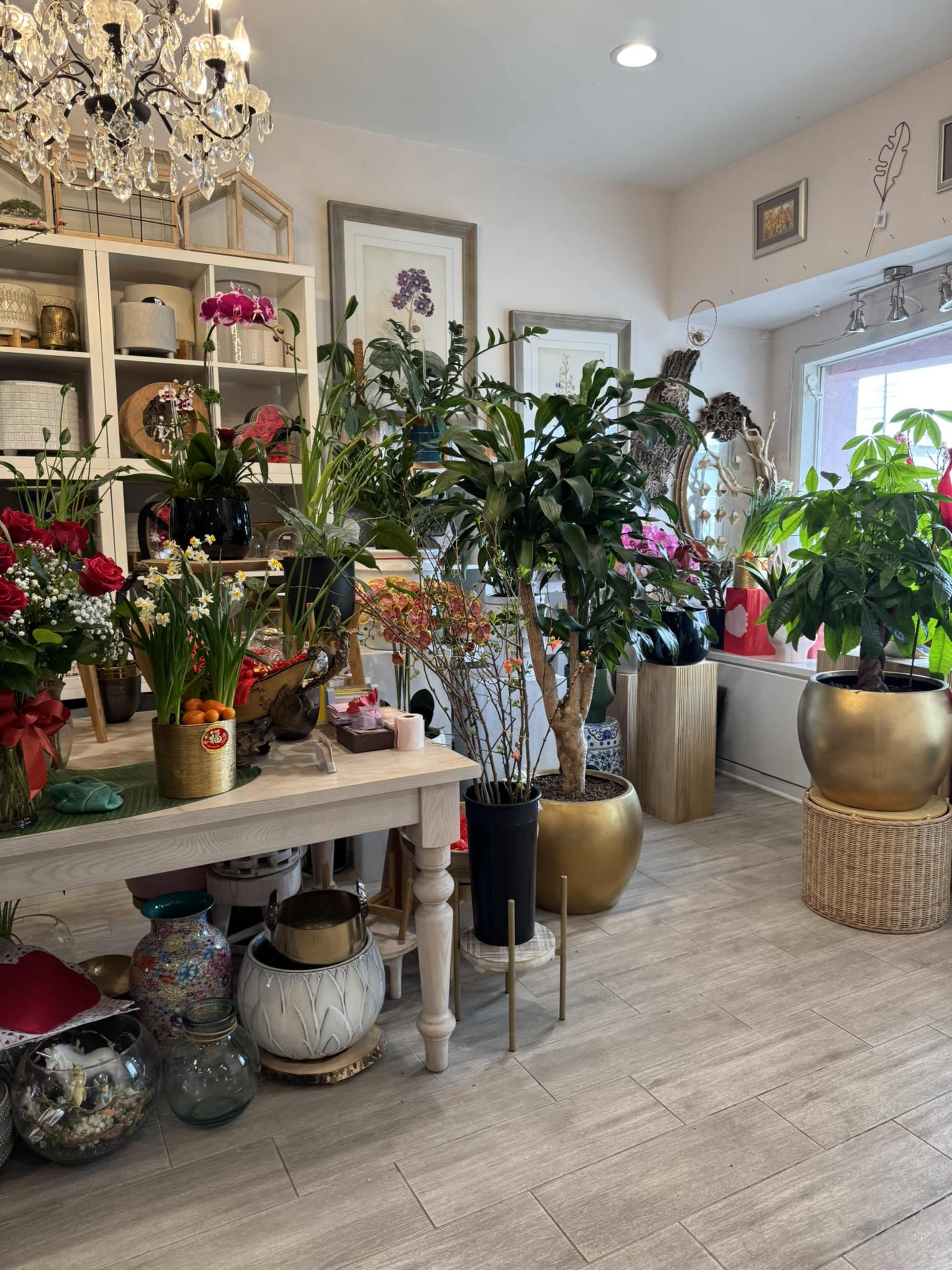 The image shows a cozy flower shop filled with various potted plants, flowers, and decorative items arranged around a wooden table.