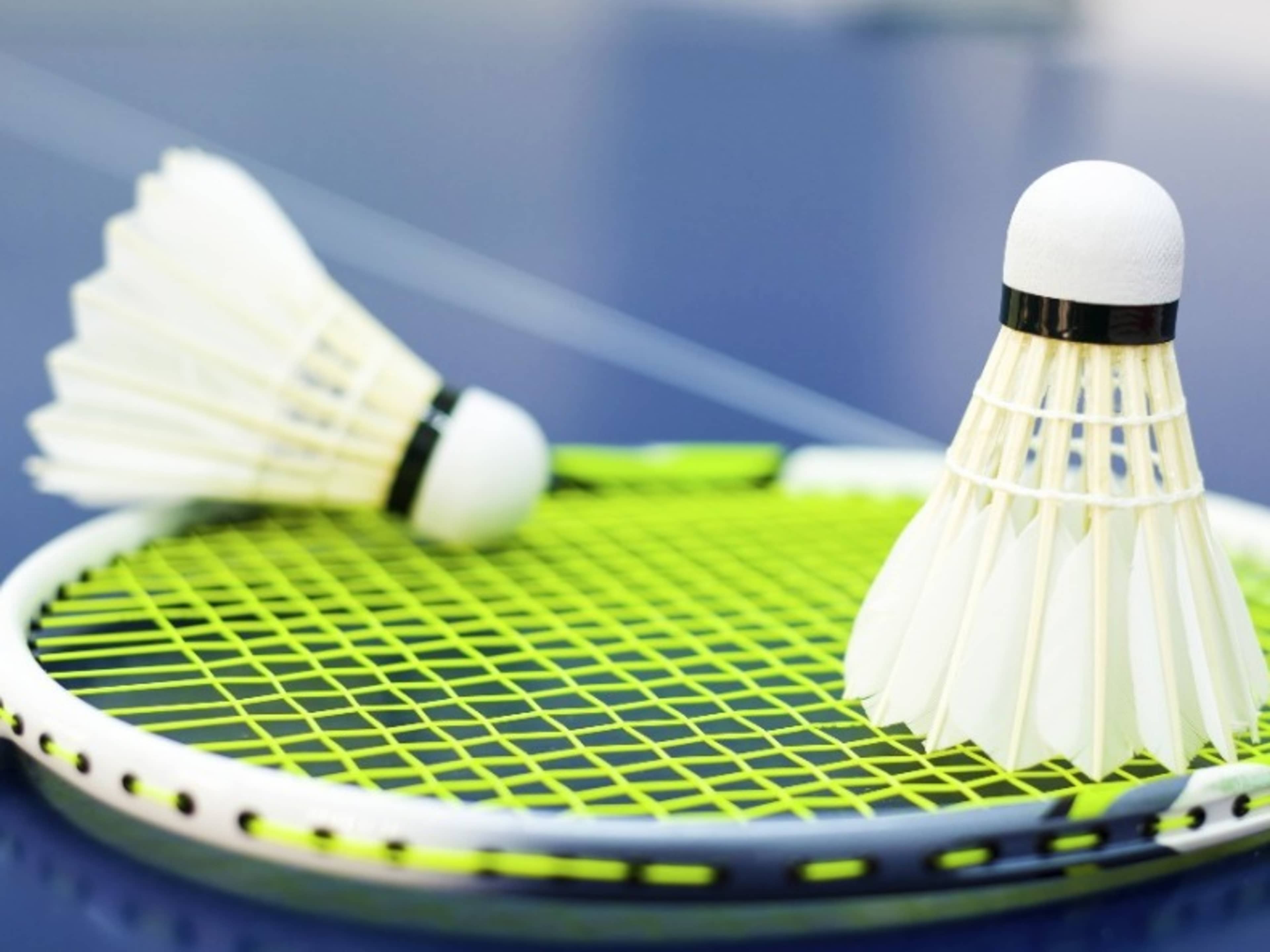 Badminton Set