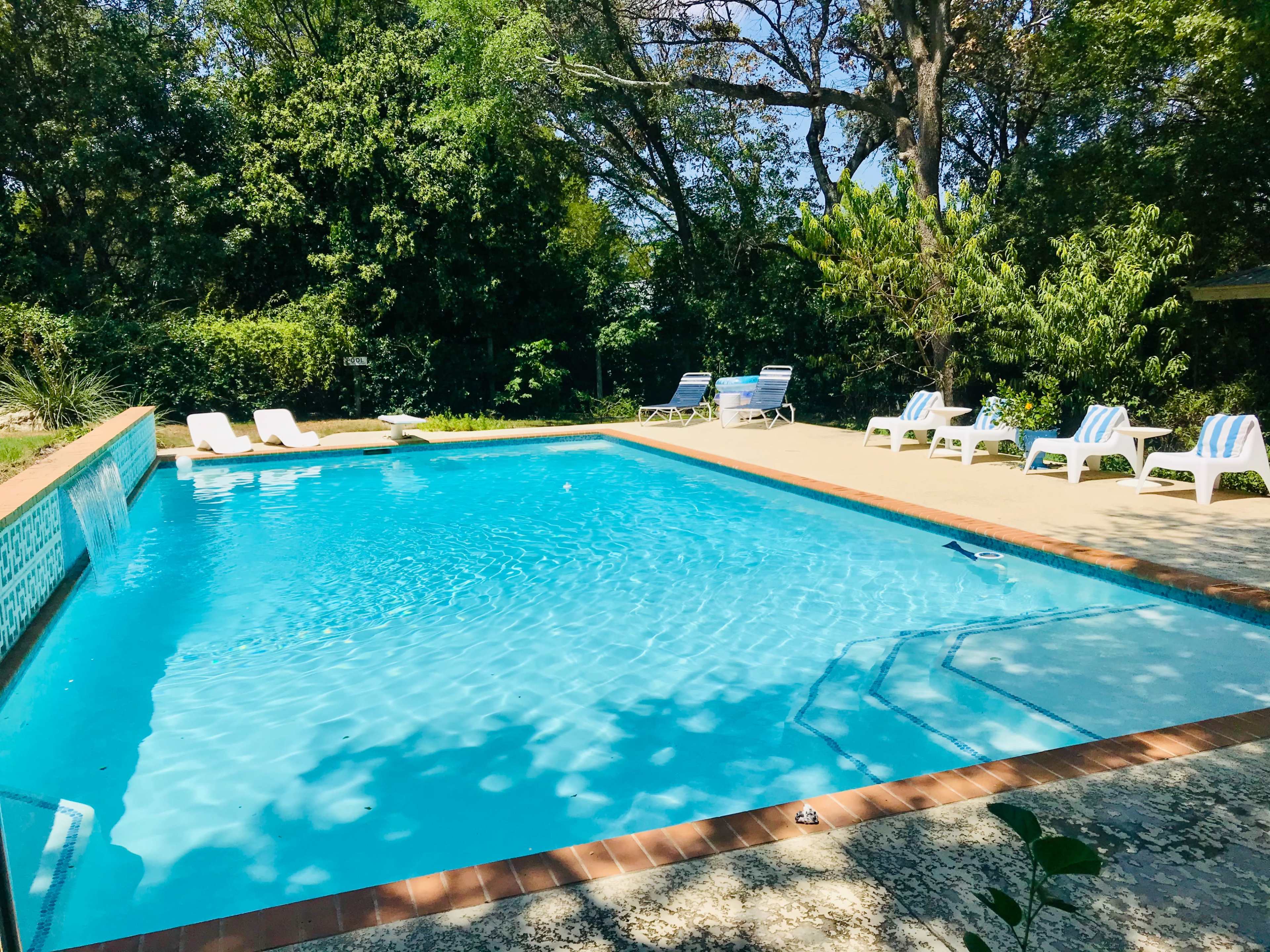 A crystal-clear swimming pool is surrounded by green trees and sun loungers.