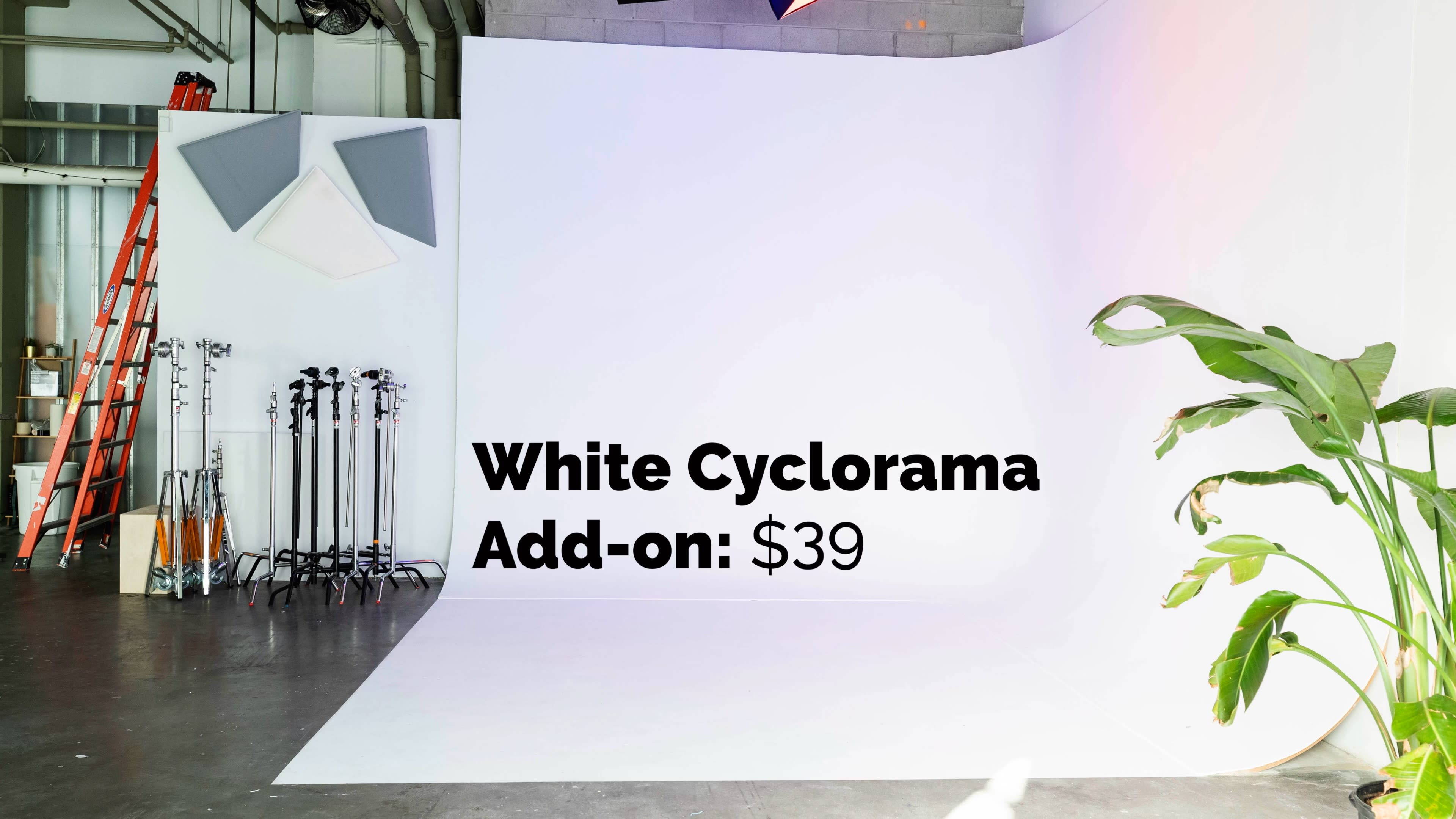 A bright studio space with a white cyclorama backdrop, a ladder, lighting equipment, and a potted plant.