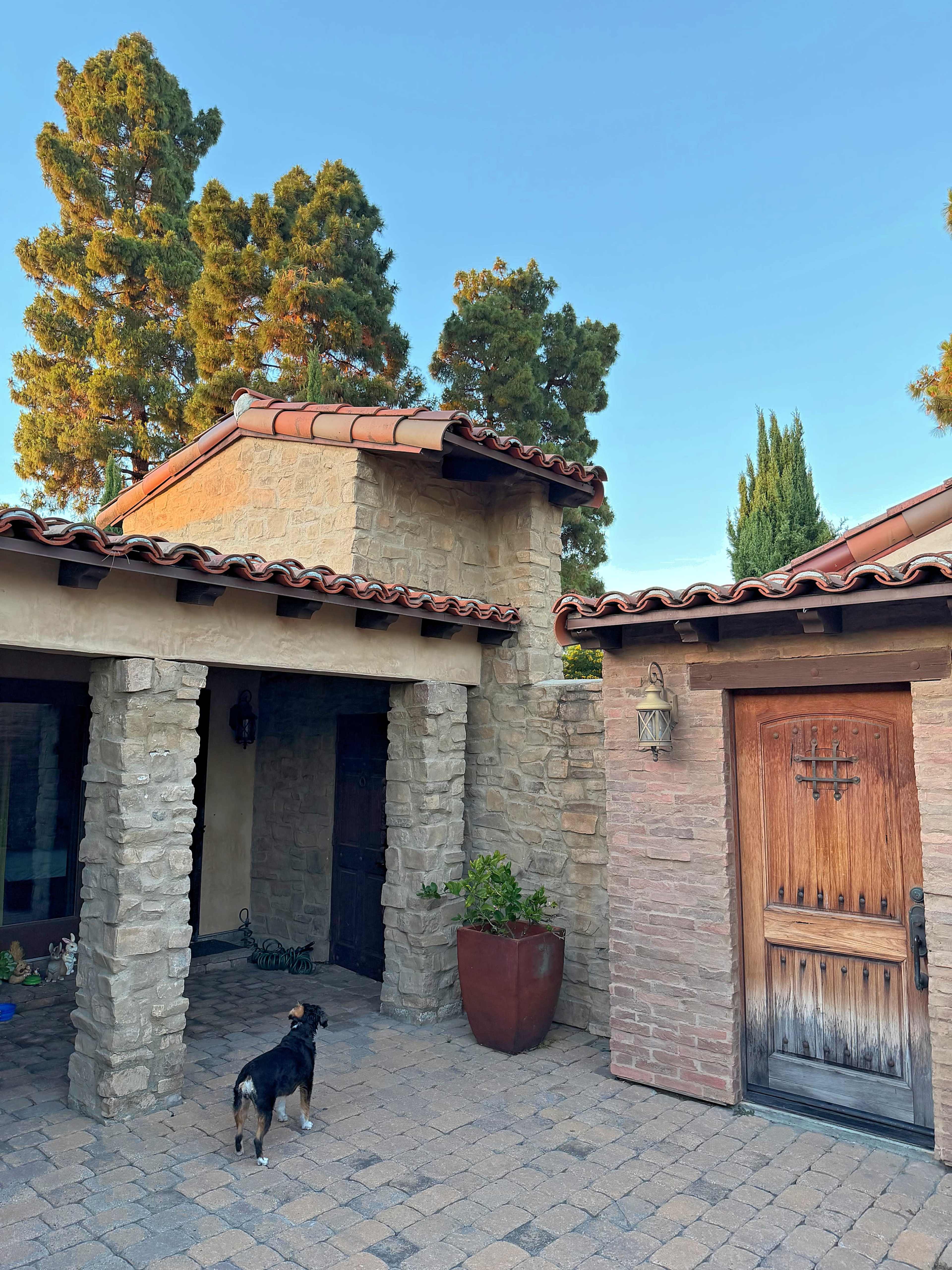 A small dog stands near a stone-walled entrance of a house with a wooden door and a terracotta roof.