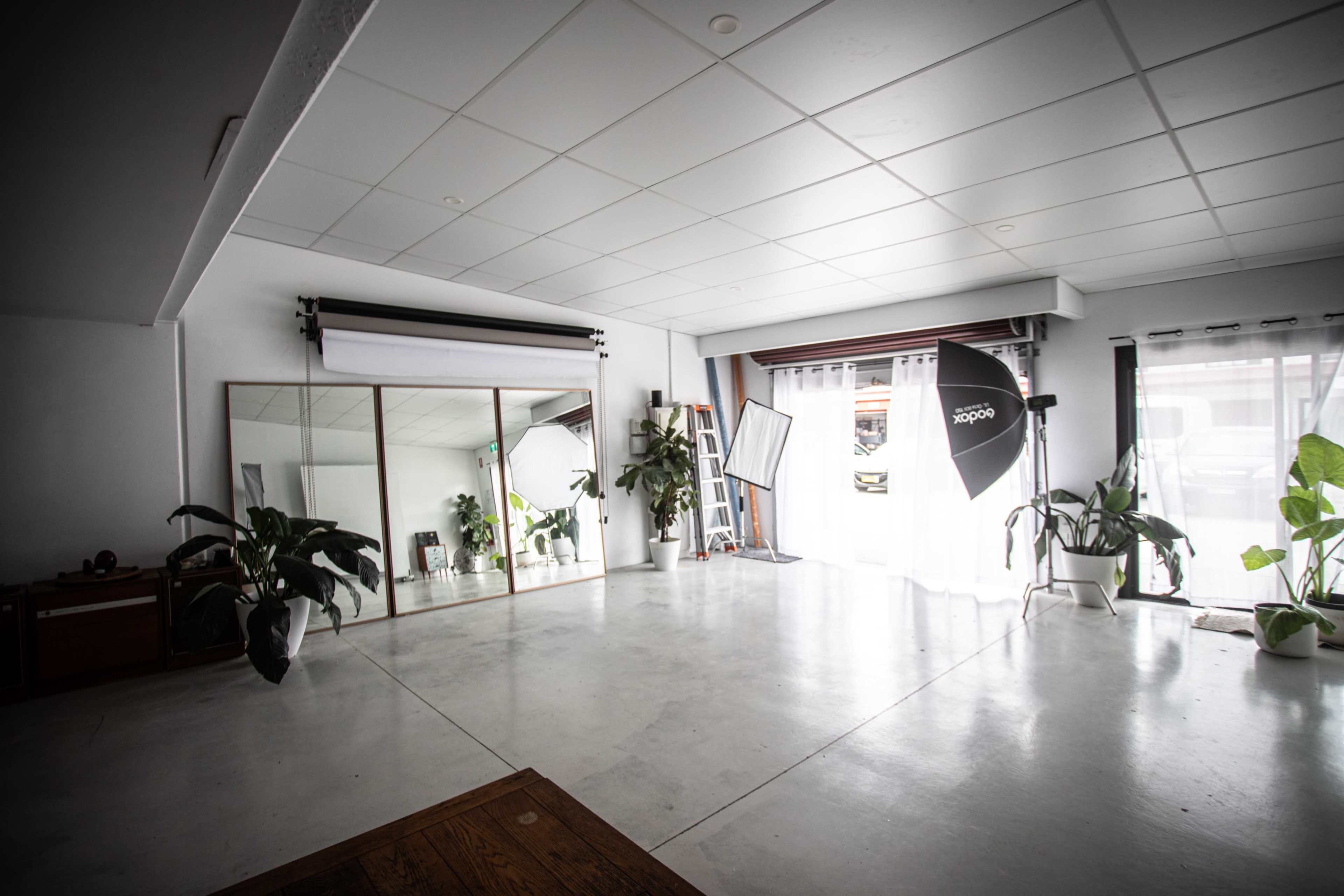 The image shows a spacious, well-lit photography studio with large mirrors, softbox lighting, and several potted plants.