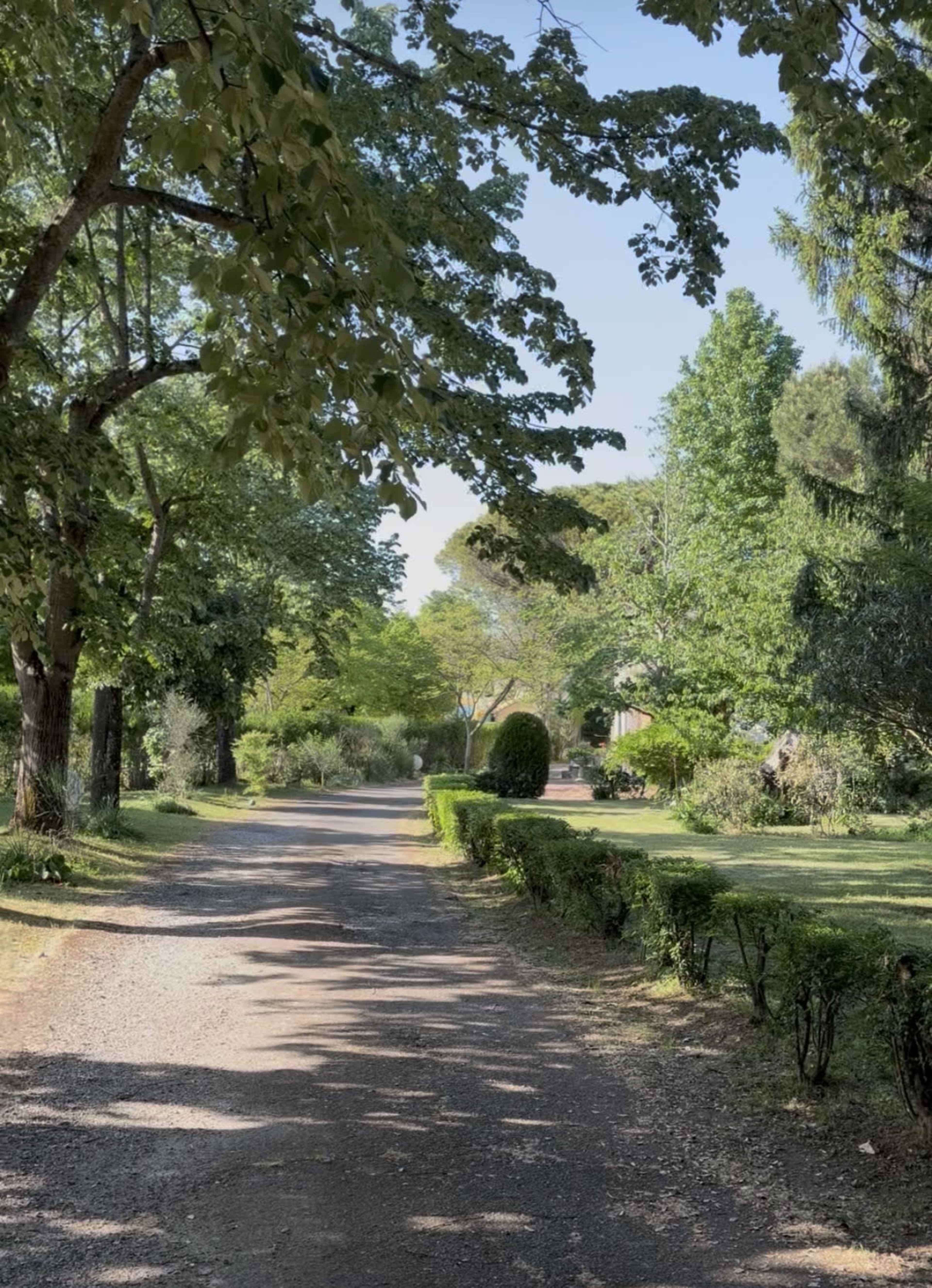 A dirt pathway lined with shrubs and trees leads through a verdant landscape.