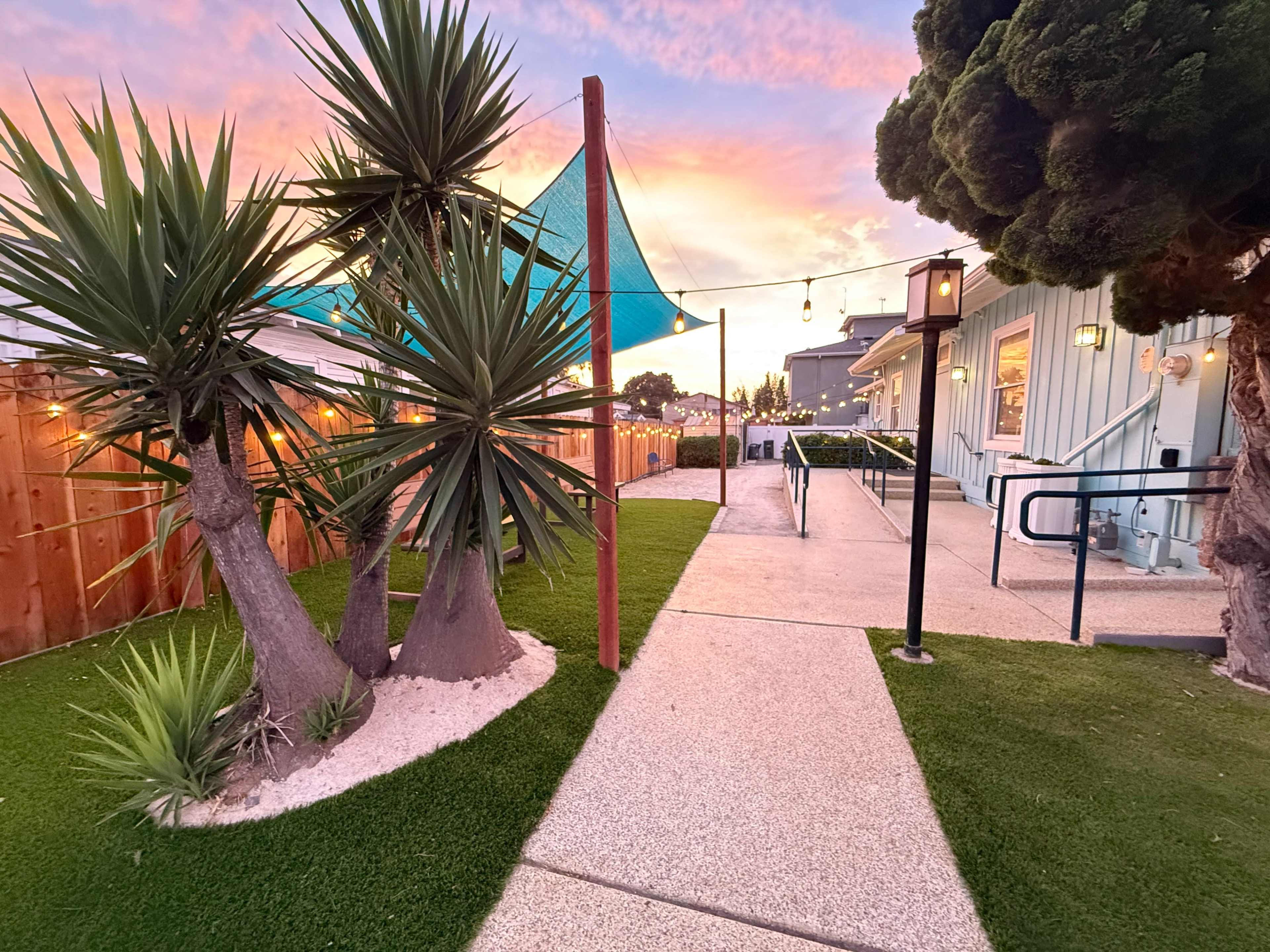 A pathway lined with palm plants leads to a building under a colorful sunset sky, with string lights illuminating the pathway.