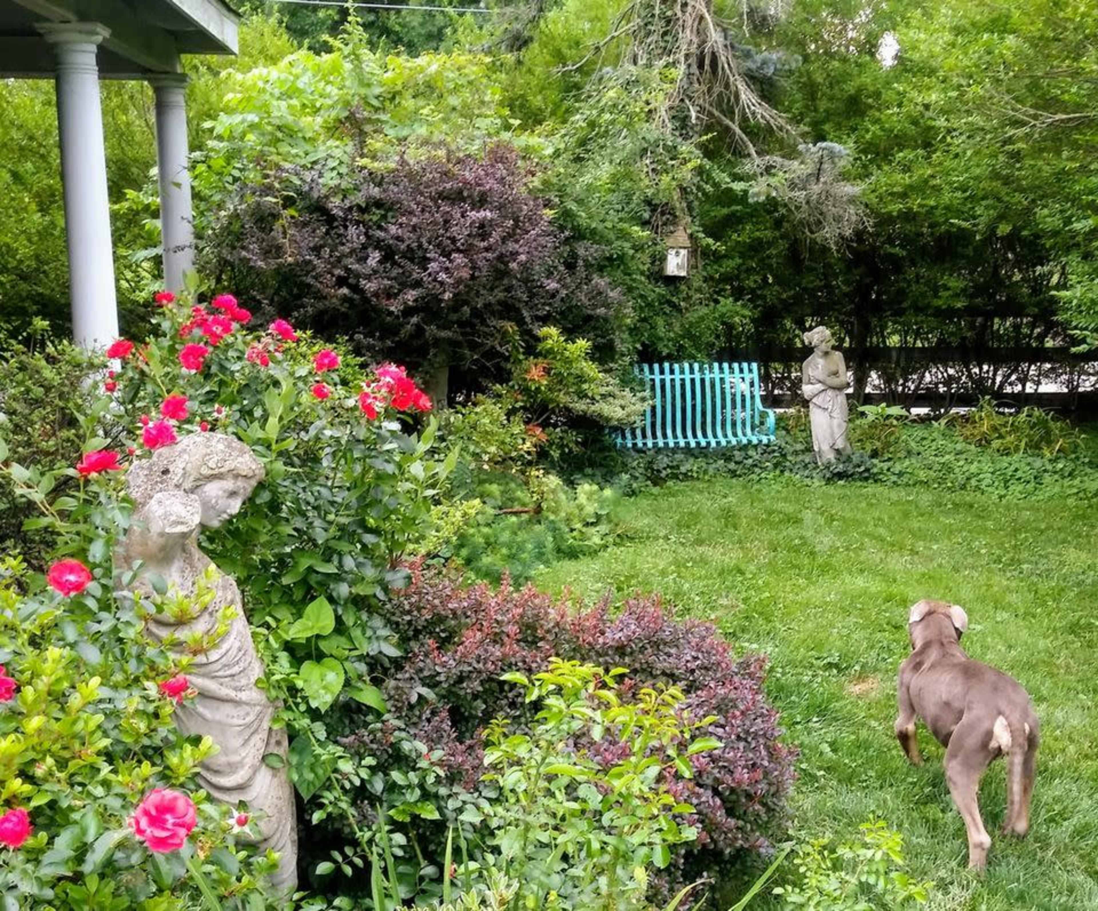 A garden featuring colorful flowers, stone statues, a blue bench, and a dog walking on the grass.