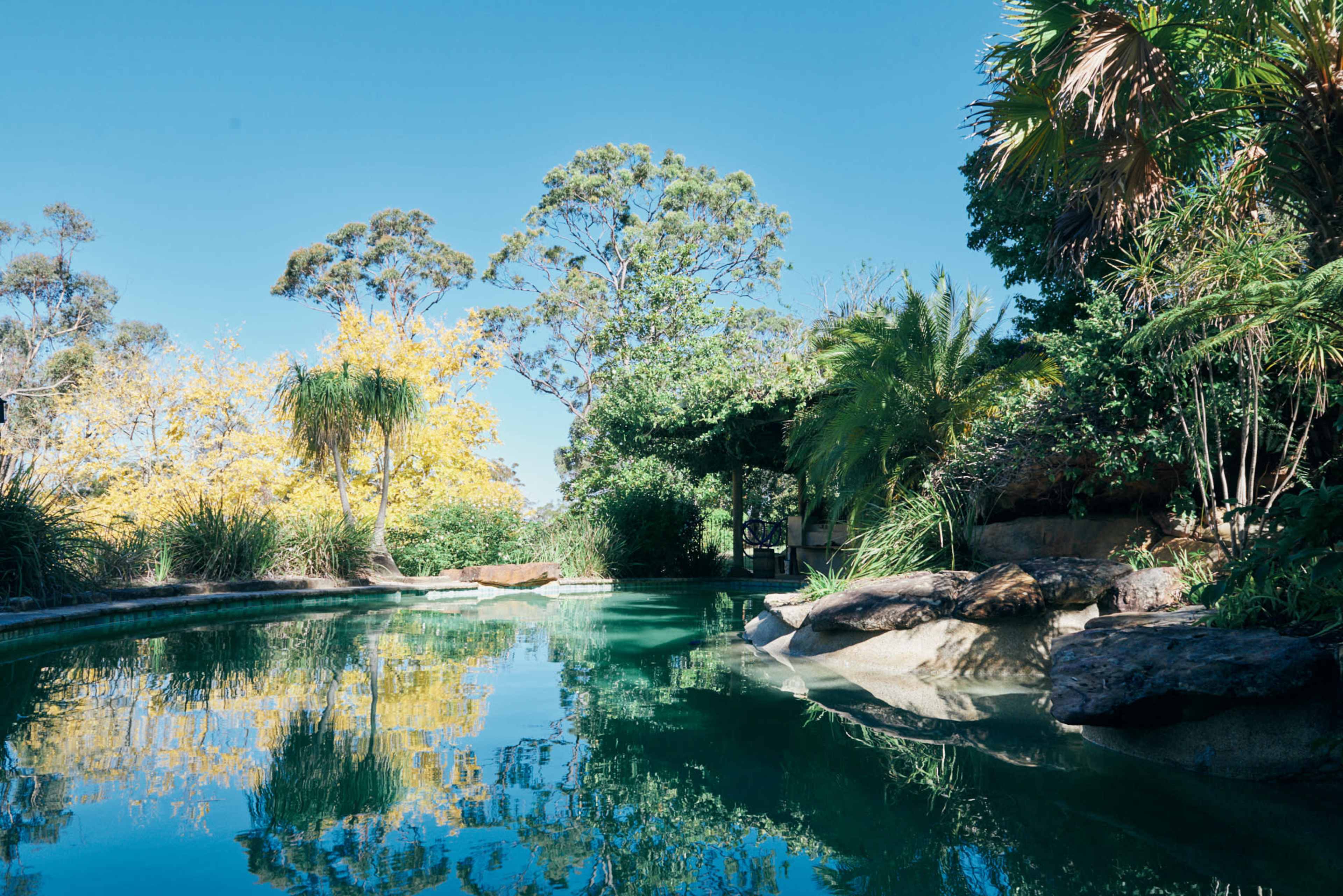 The image shows a tranquil swimming pool surrounded by lush greenery and trees under a clear blue sky.