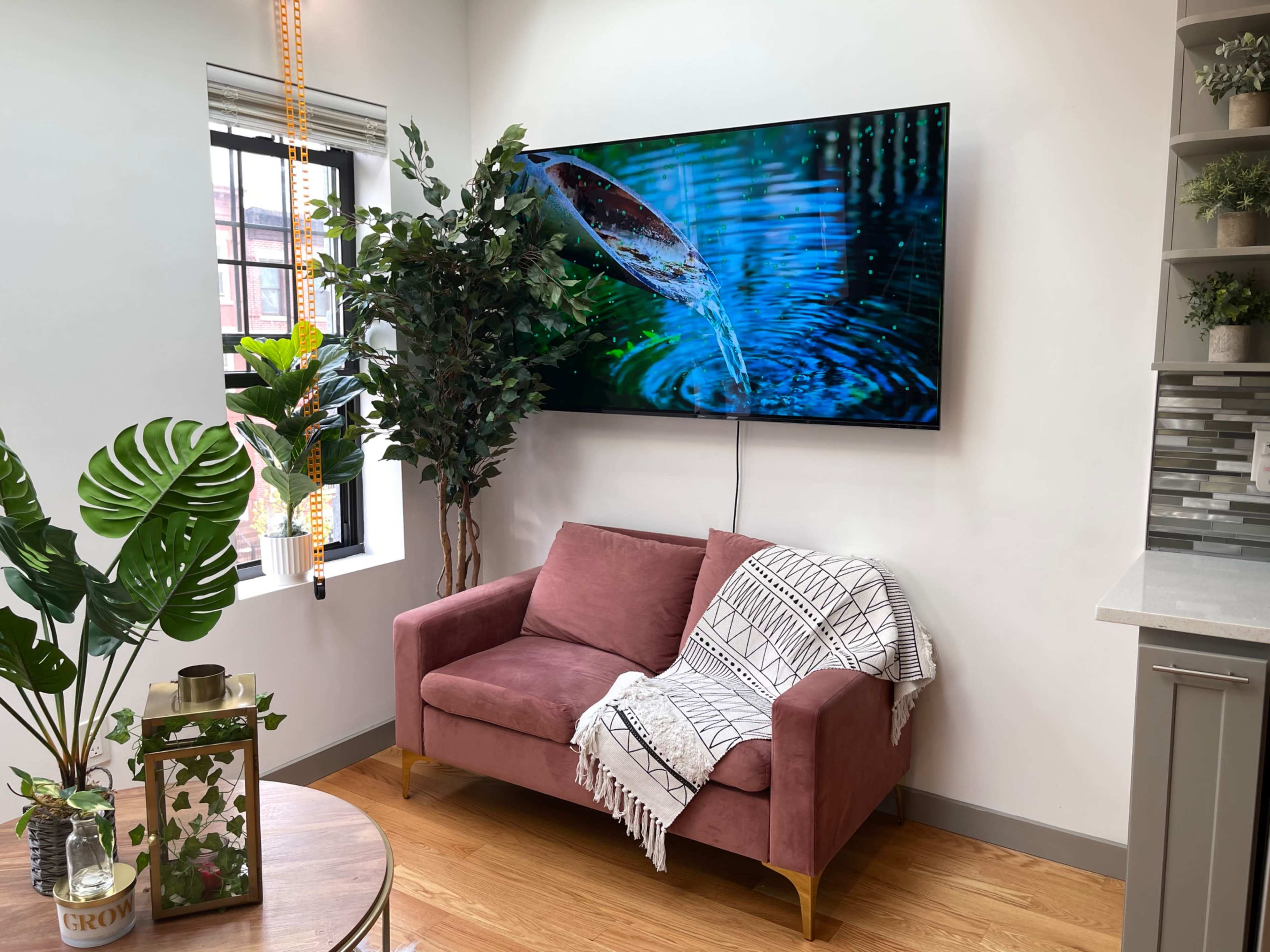 A pink sofa with a patterned throw blanket is positioned beneath a large television displaying an image of water droplets, while plants decorate the bright interior space.