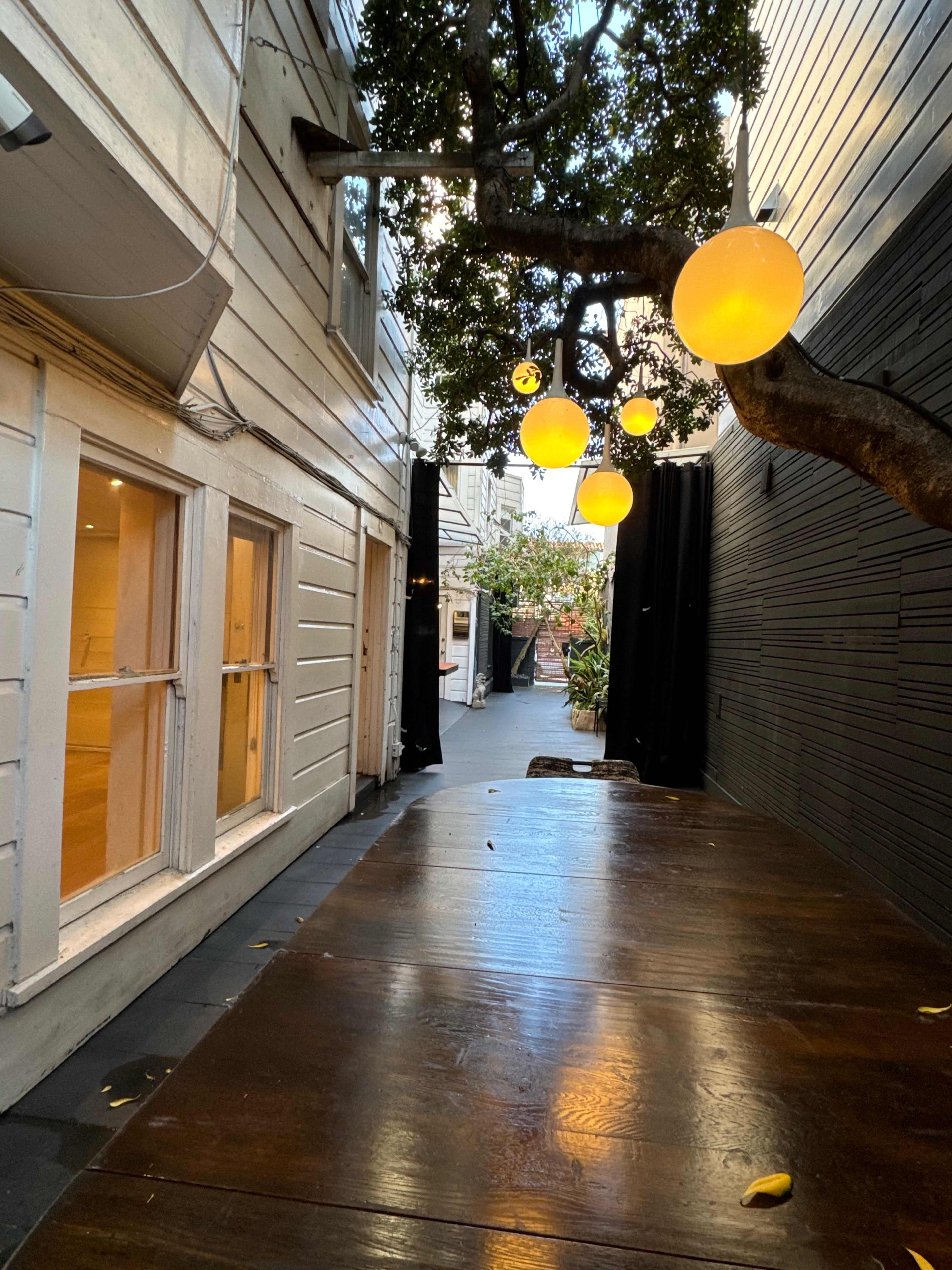 A narrow walkway between two buildings, adorned with glowing spherical lights hanging from a tree overhead.