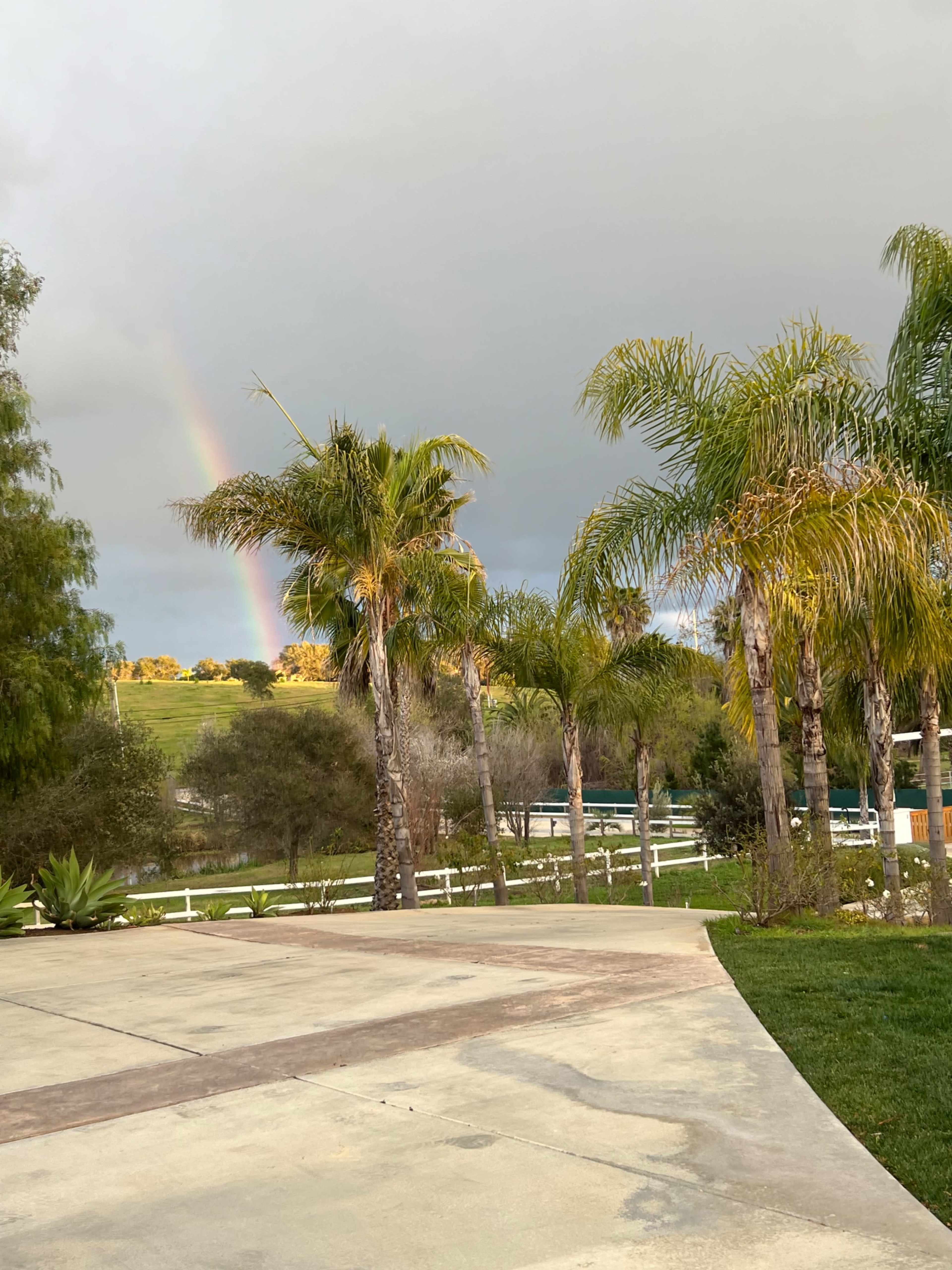 A rainbow arches over a hillside dotted with trees, framed by a pathway lined with palm trees and green grass.