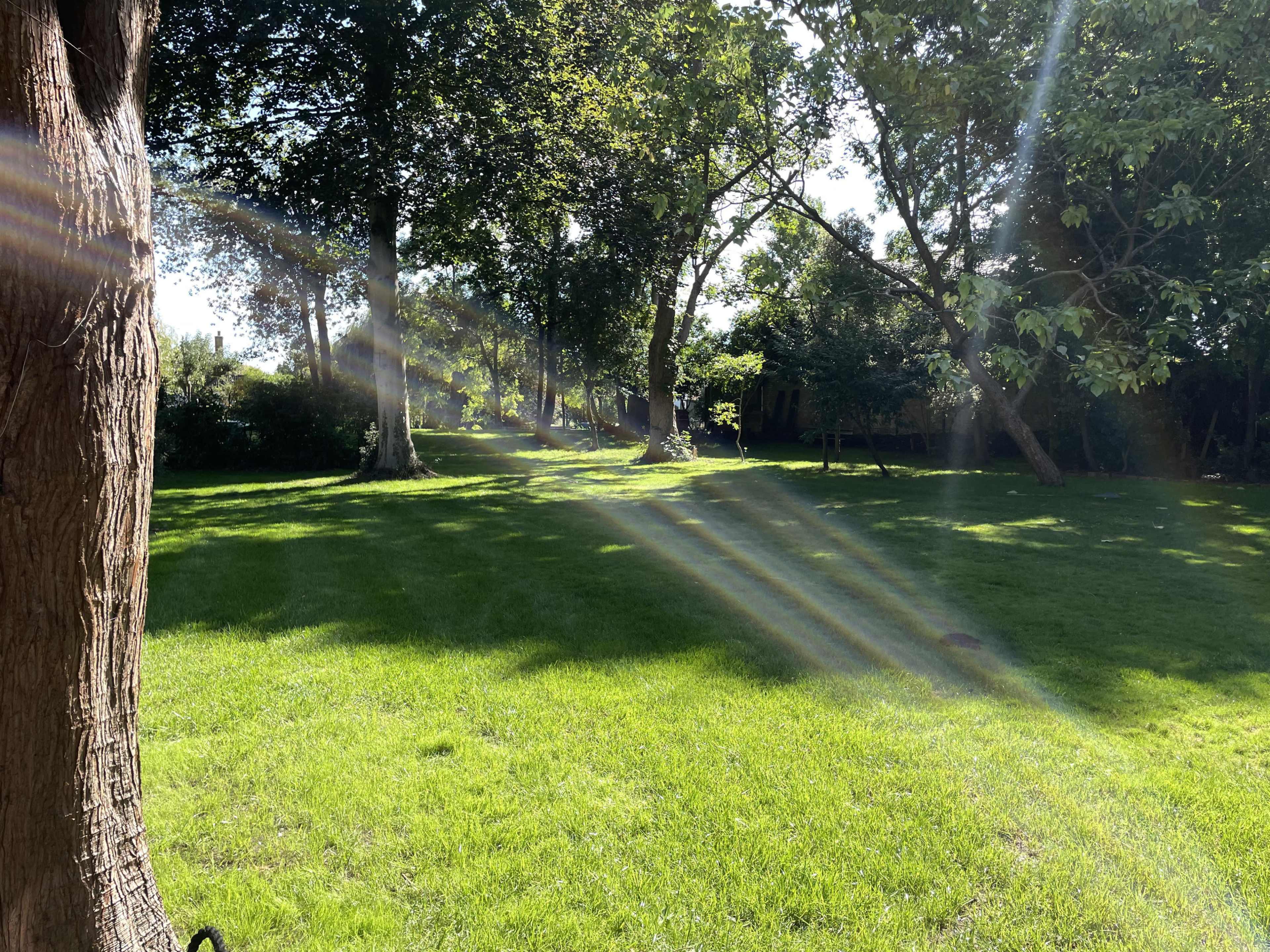 Riverside Retreat Private Garden Image in Molesey, East Molesey, 