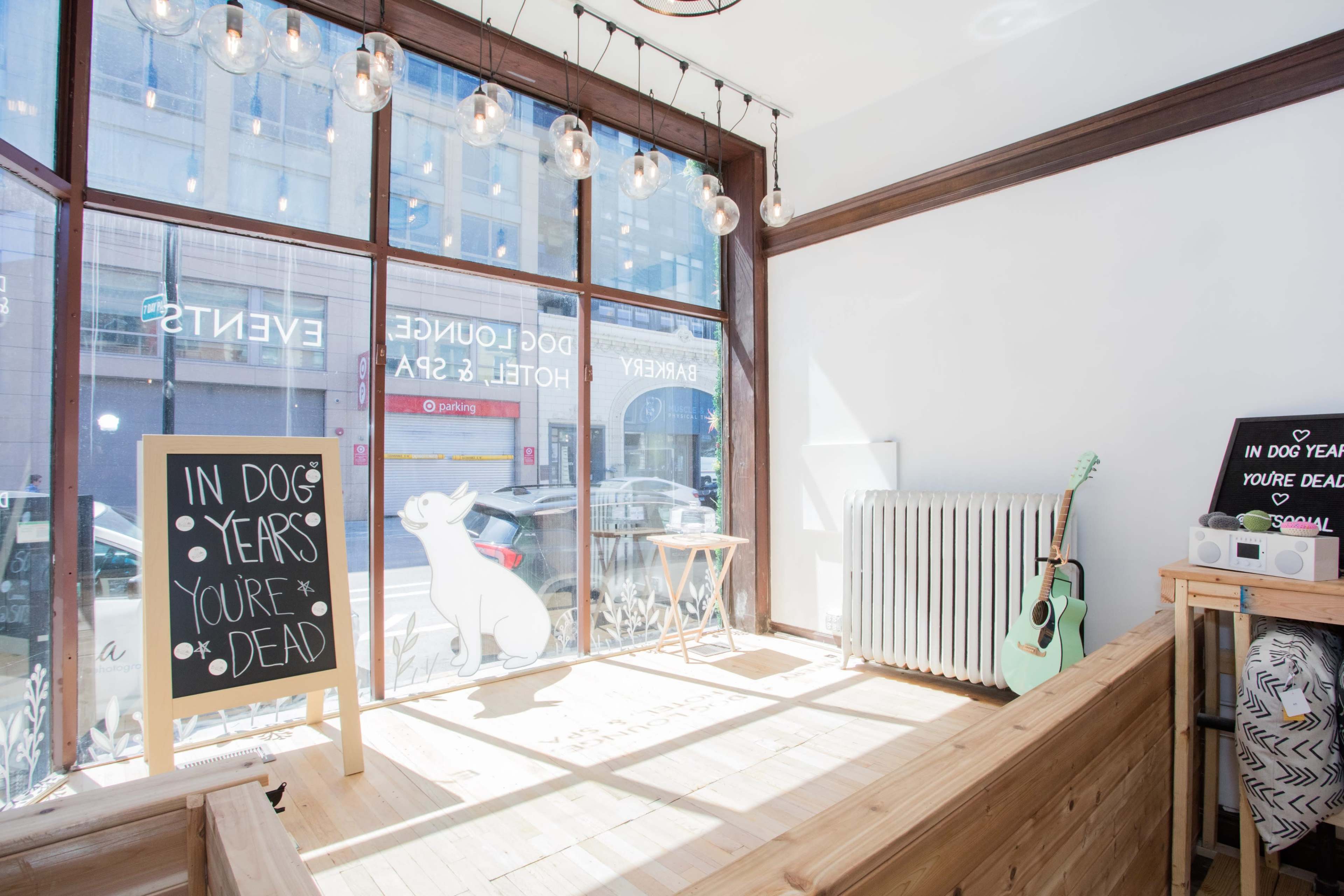 The interior of a bright and airy space features large windows, wooden flooring, and a chalkboard sign that reads, "IN DOG YEARS YOU'RE DEAD."