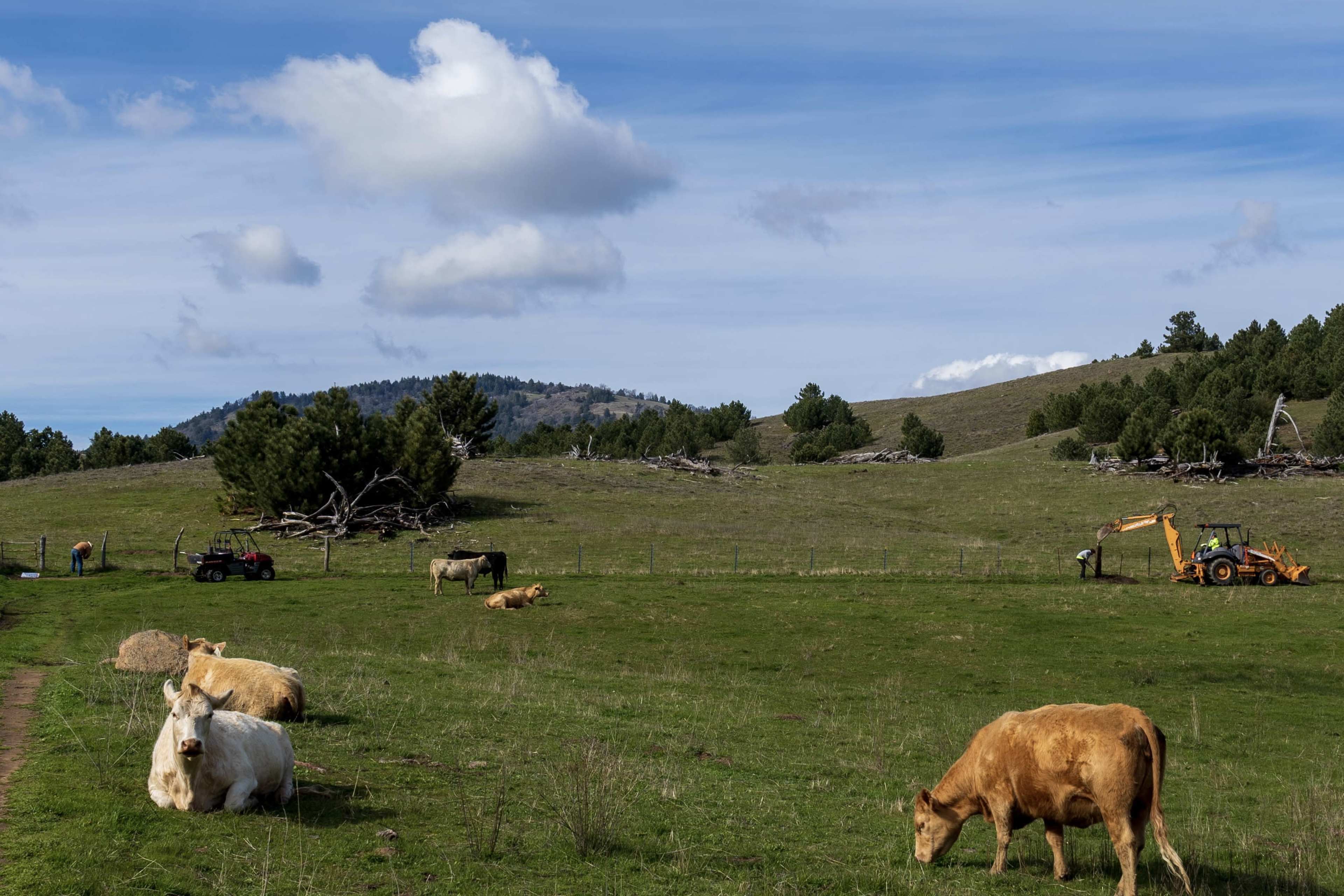 Oak Creek Ranch Image in , Julian, CA