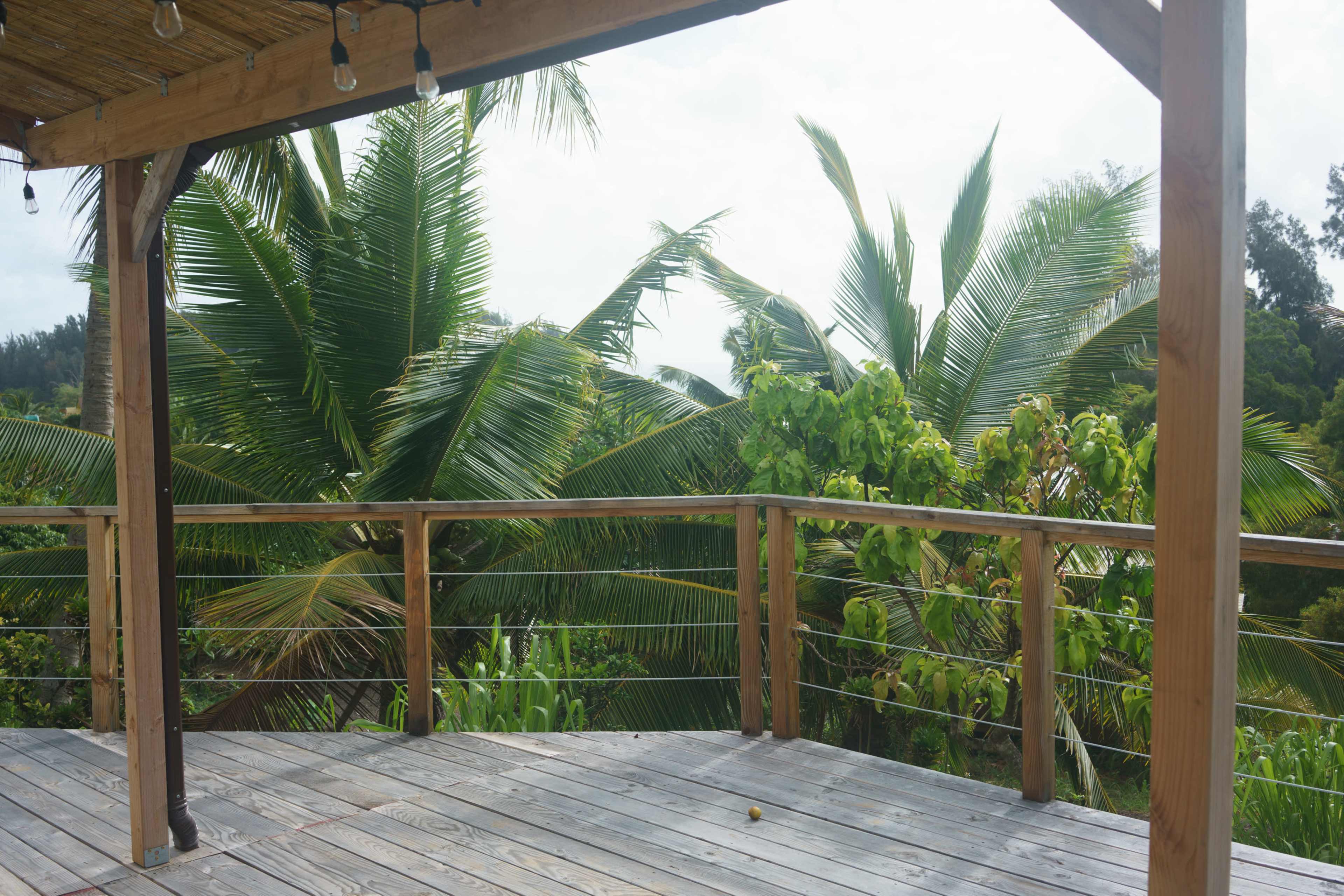 A wooden deck with a railing offers a view of lush green palm trees and tropical foliage.