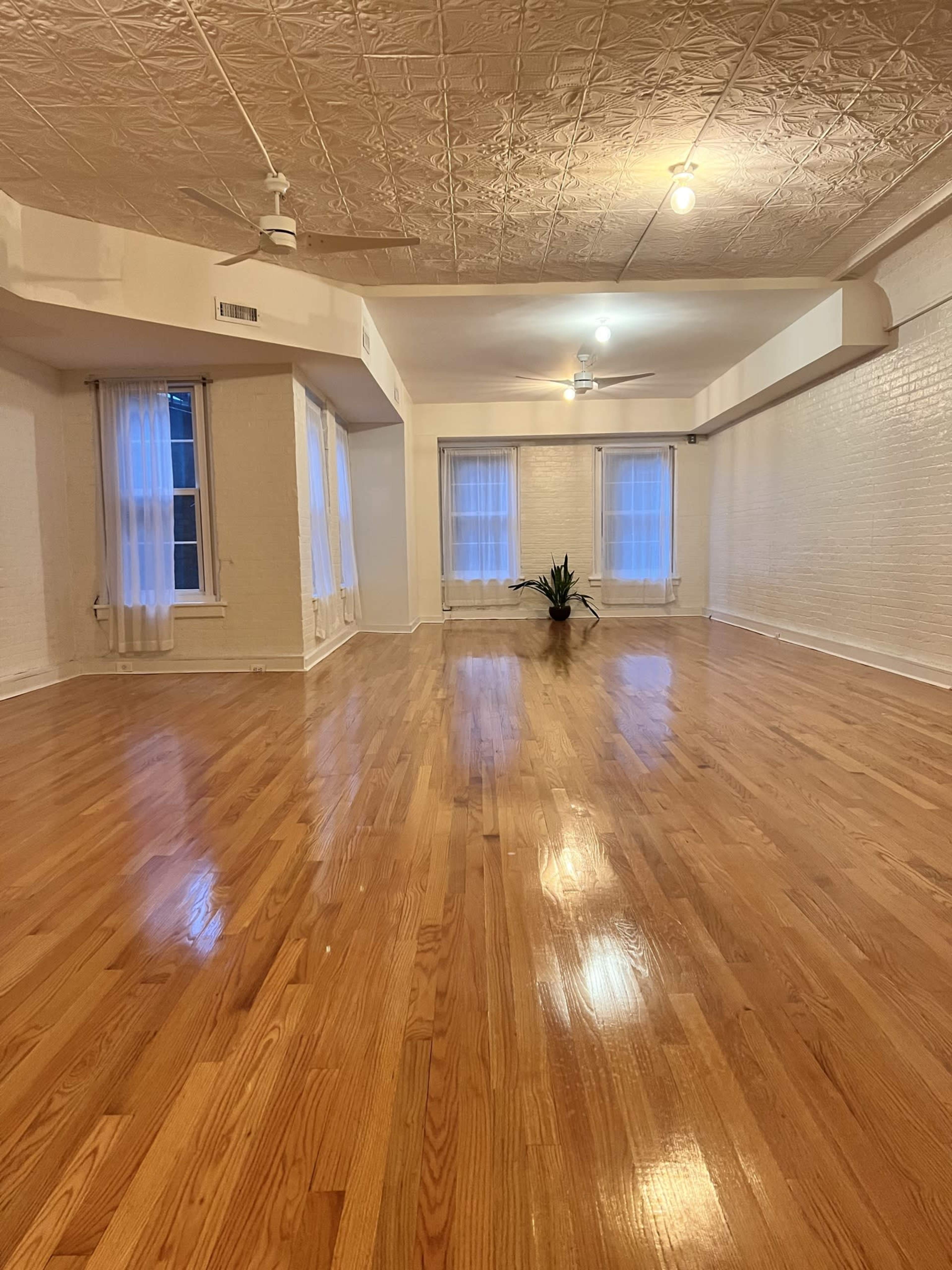 A spacious, empty room with hardwood flooring, three windows dressed in sheer curtains, and a small potted plant placed in the center.