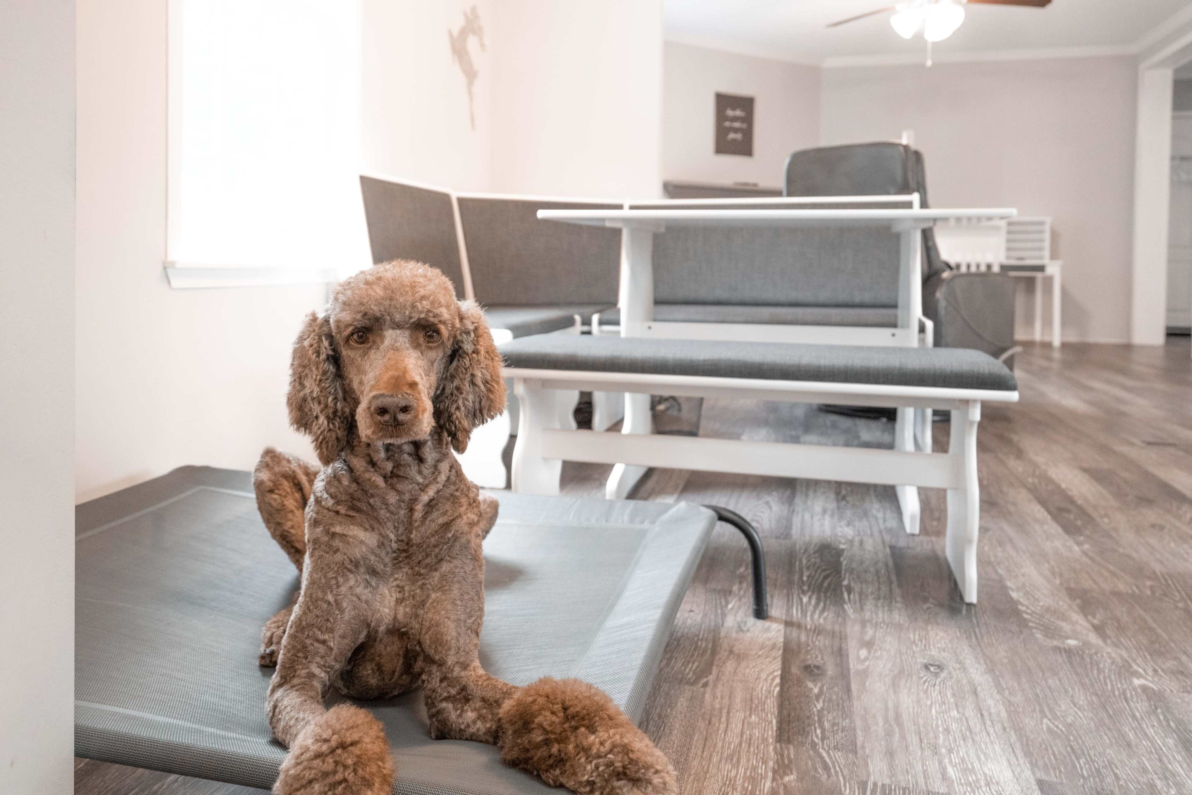 Private Wedding/Event Venue Home in Madison Image in , Madison, NC