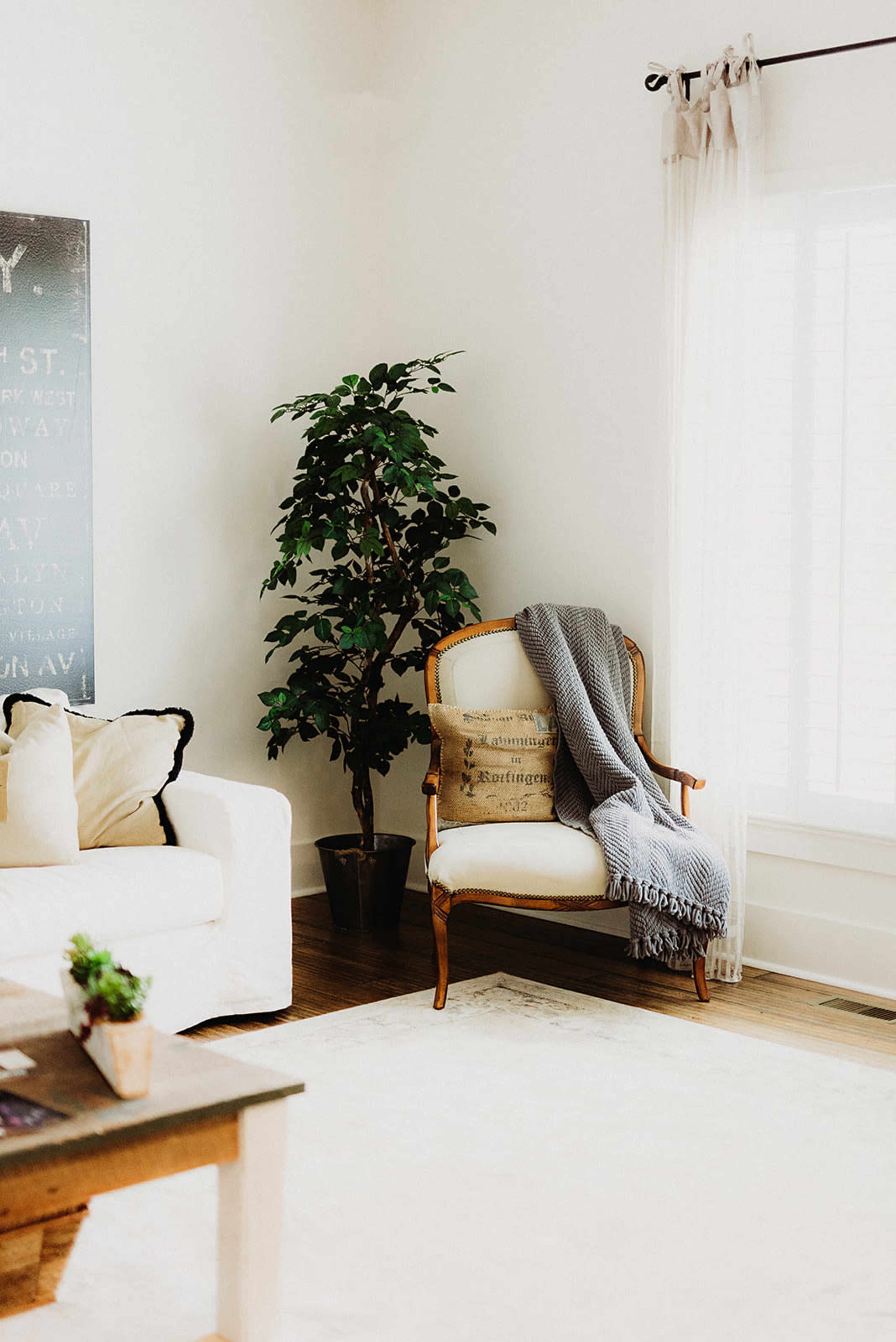 A cozy living room featuring a white sofa, a patterned armchair draped with a gray blanket, a potted plant, and large windows with light curtains.