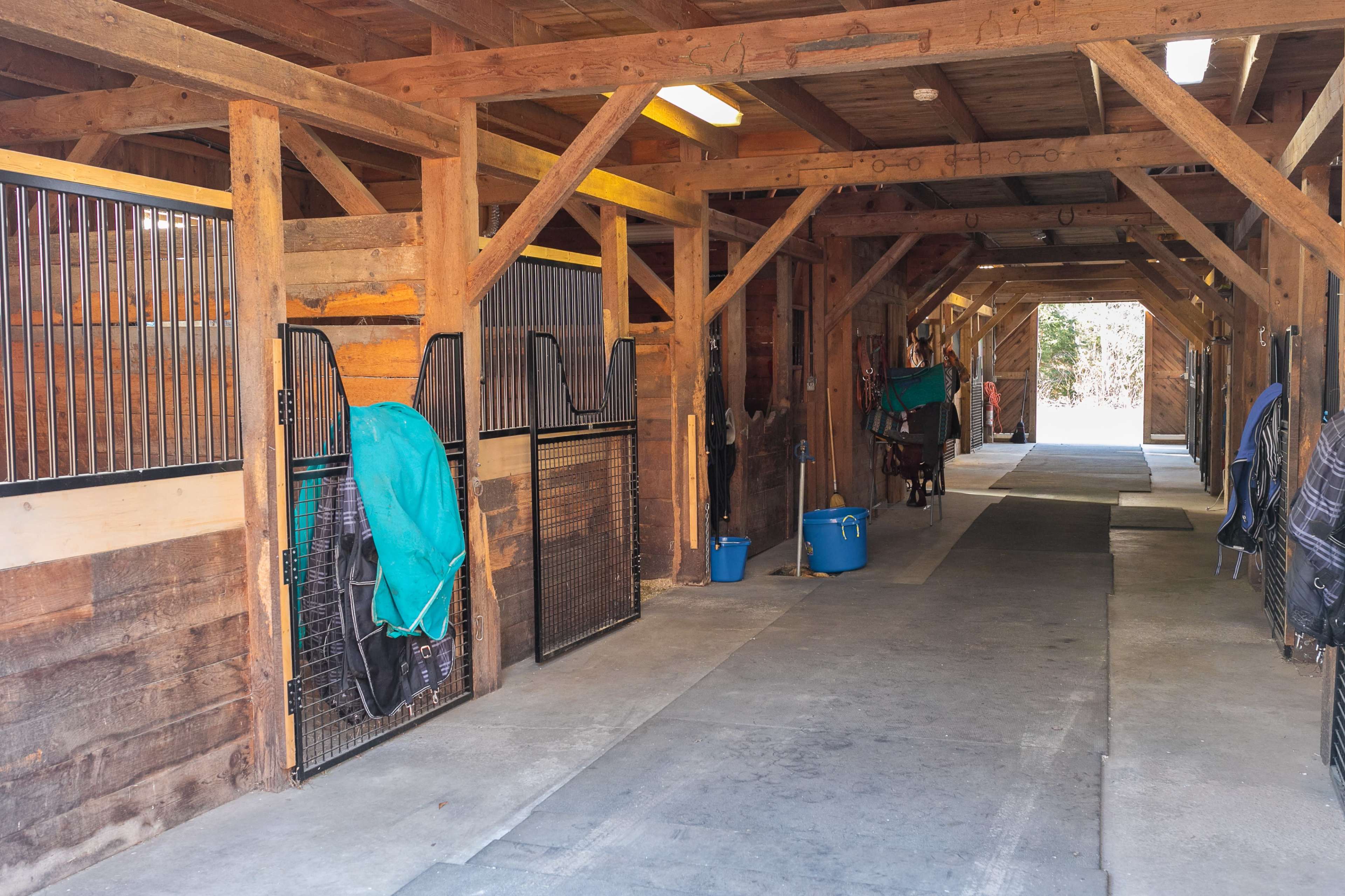 Horse Farm with Modern A-Frame and Pool Image in Brewster, Brewster, MA