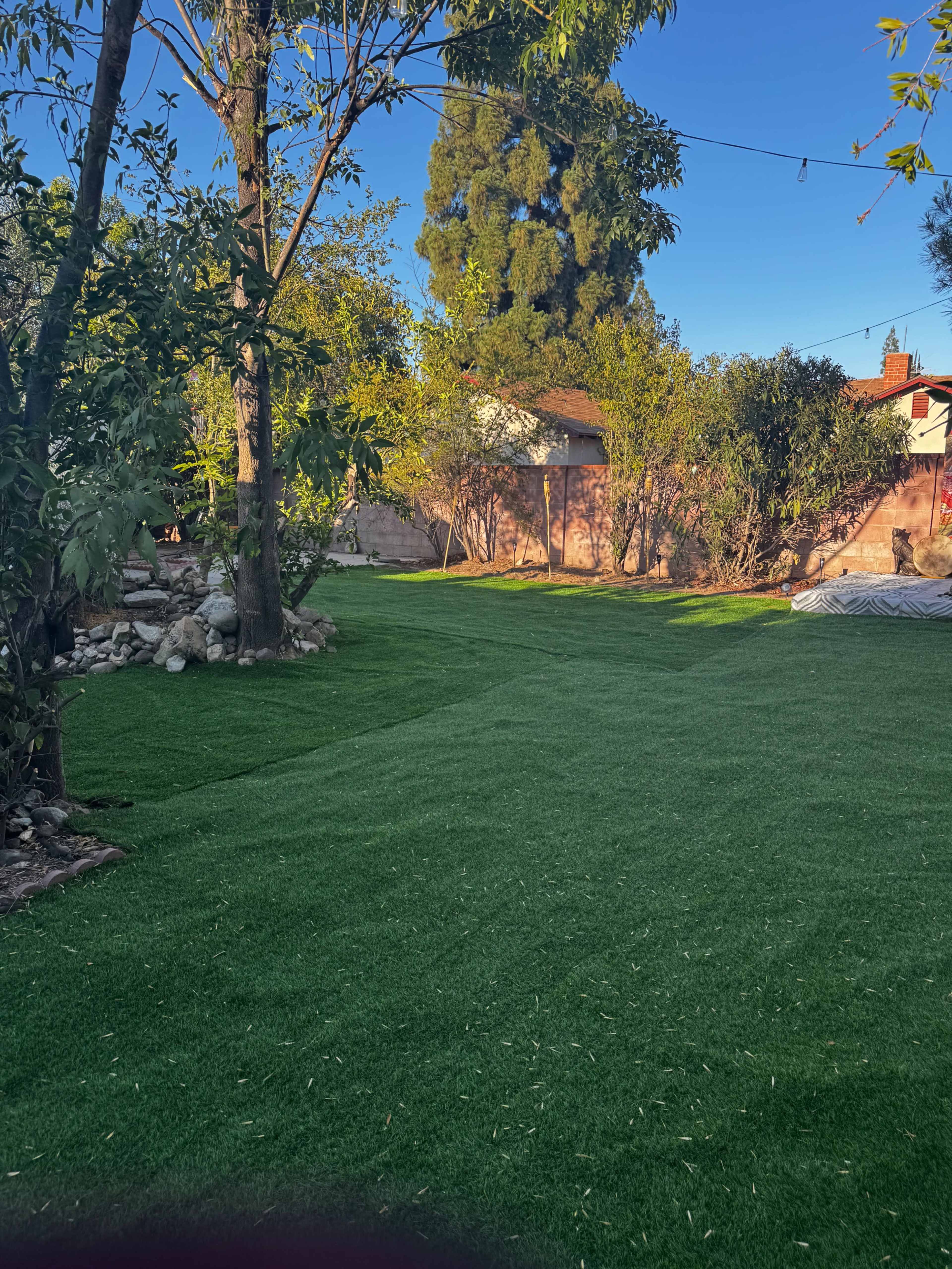 A little rainforest oasis in Los Angeles Image in Winnetka, Winnetka, CA