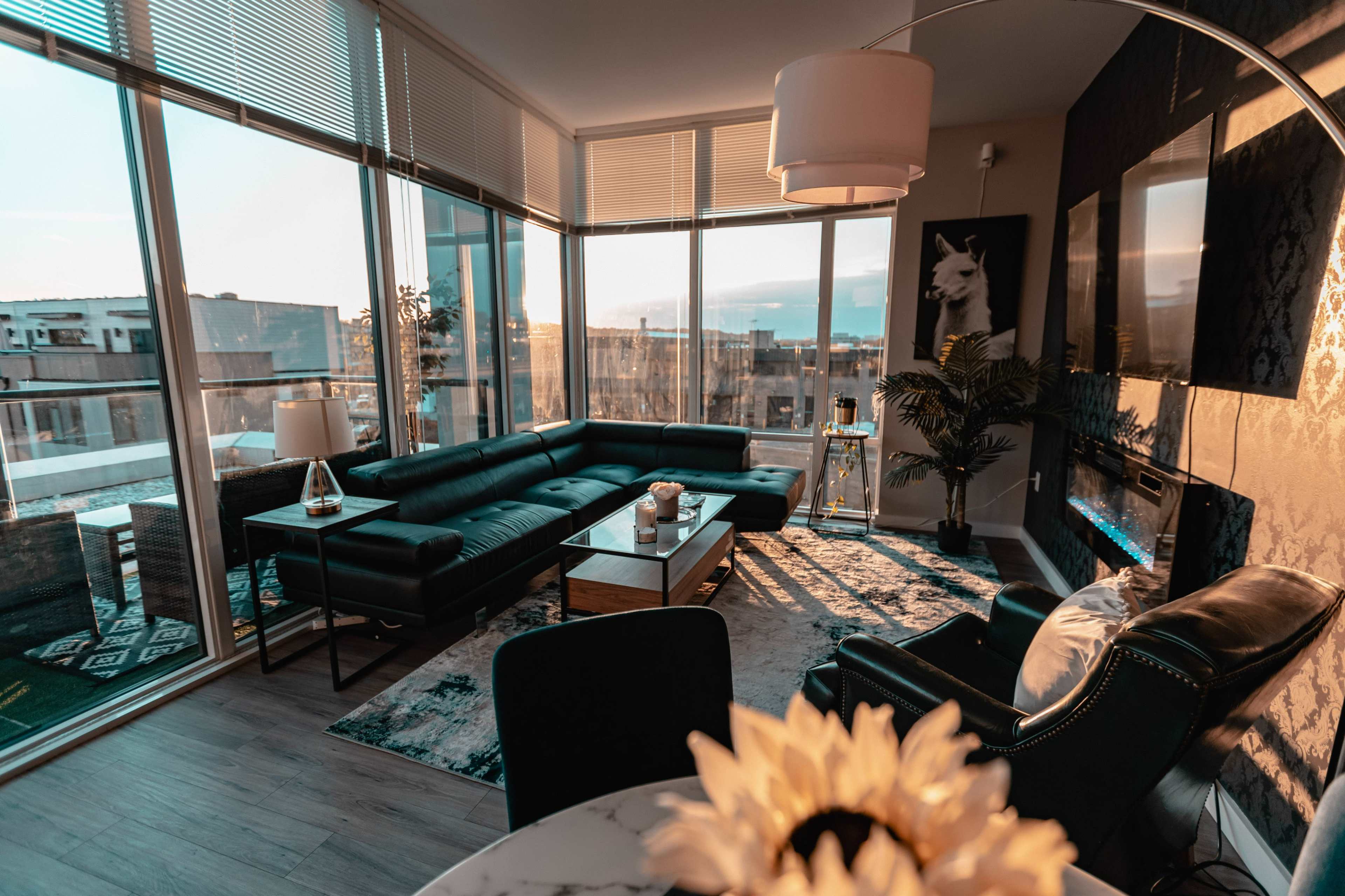 A modern living room with large windows, a black sectional sofa, and a coffee table in a well-lit space featuring decorative plants and artwork.
