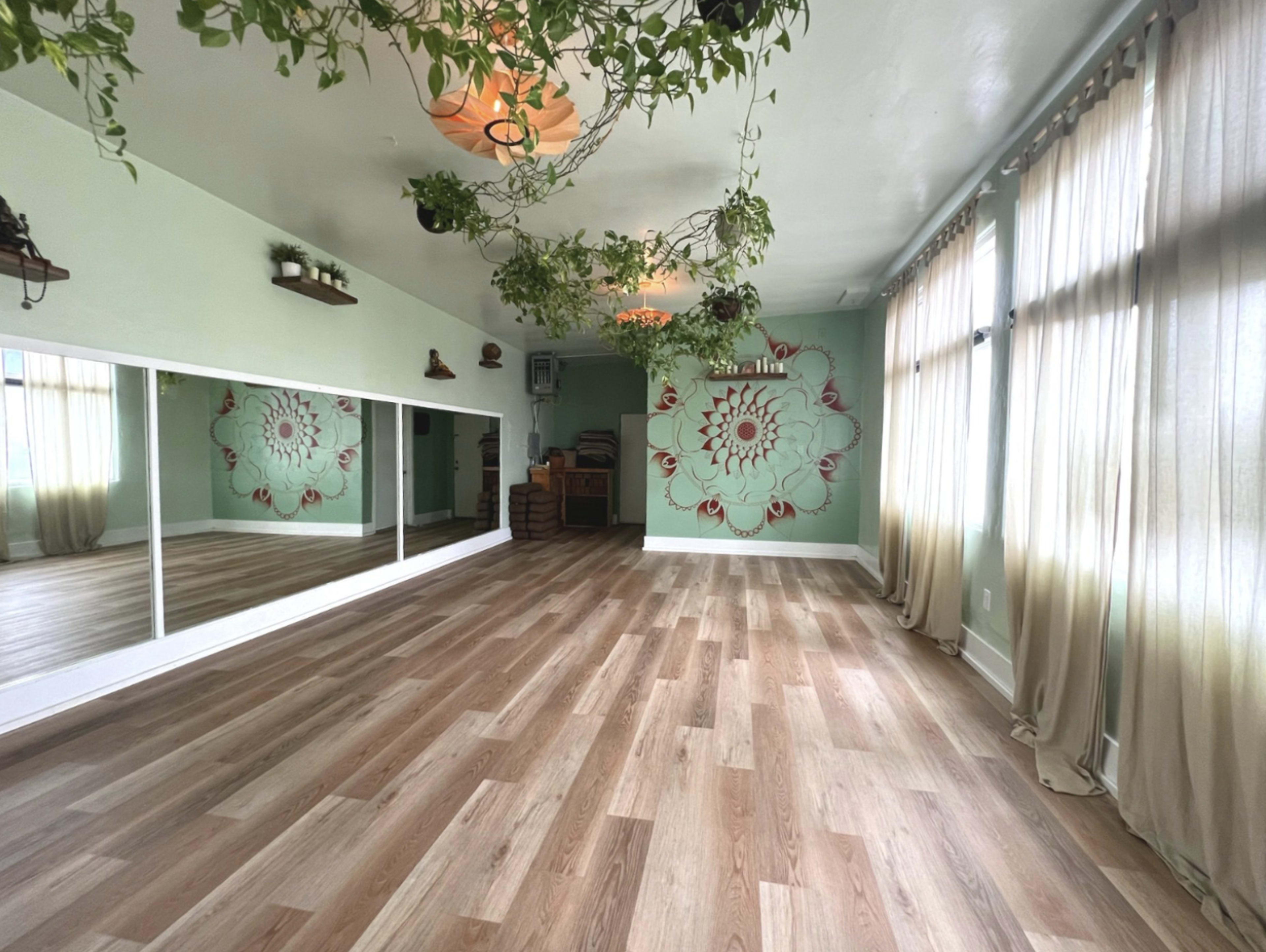 The image shows a spacious room with hardwood flooring, large windows covered by sheer curtains, and decorative plants hanging from the ceiling, alongside a mirrored wall and a painted design on the far wall.