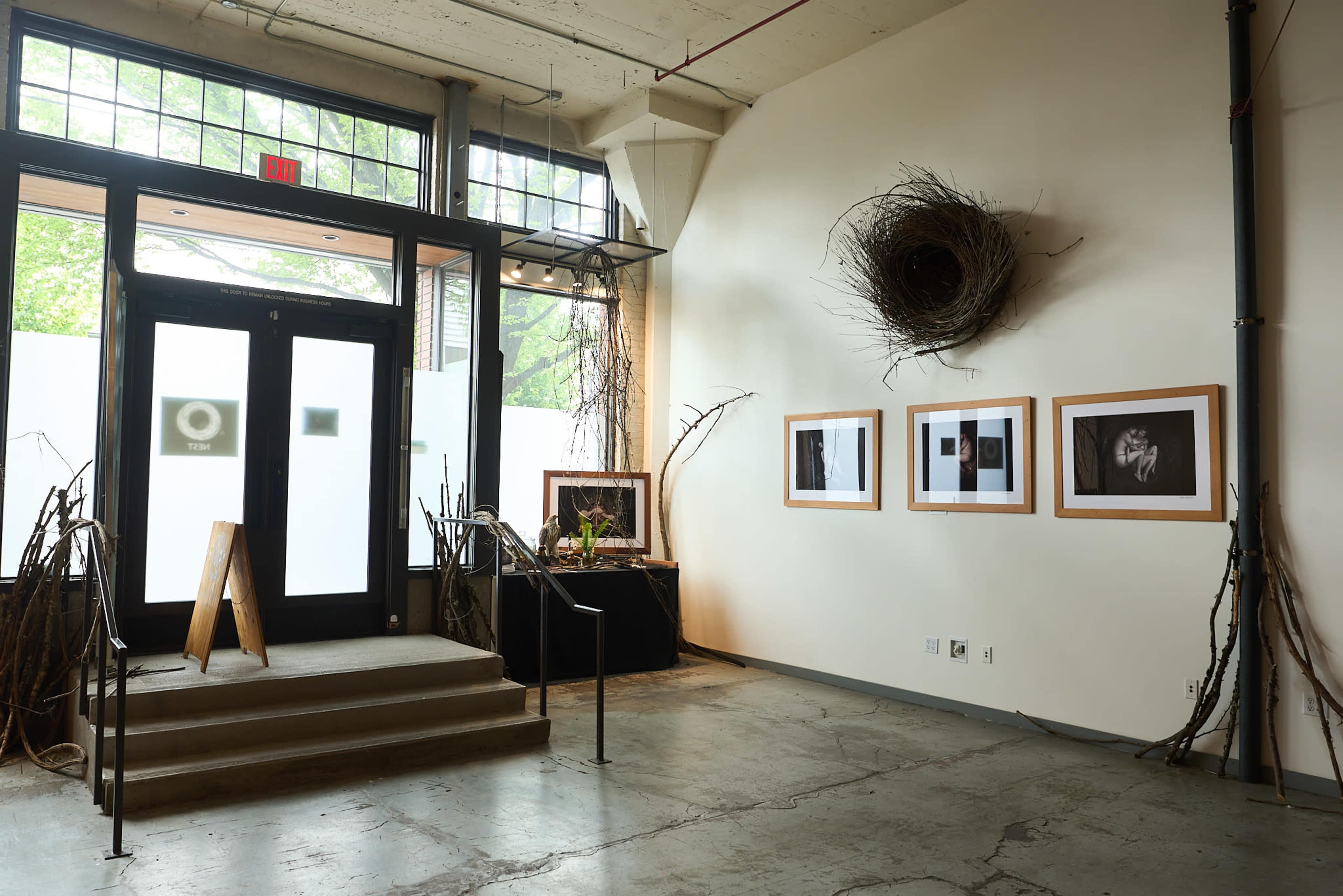 The image shows the interior of an art gallery featuring a staircase, framed photographs on the wall, and a large bird's nest suspended from the ceiling.