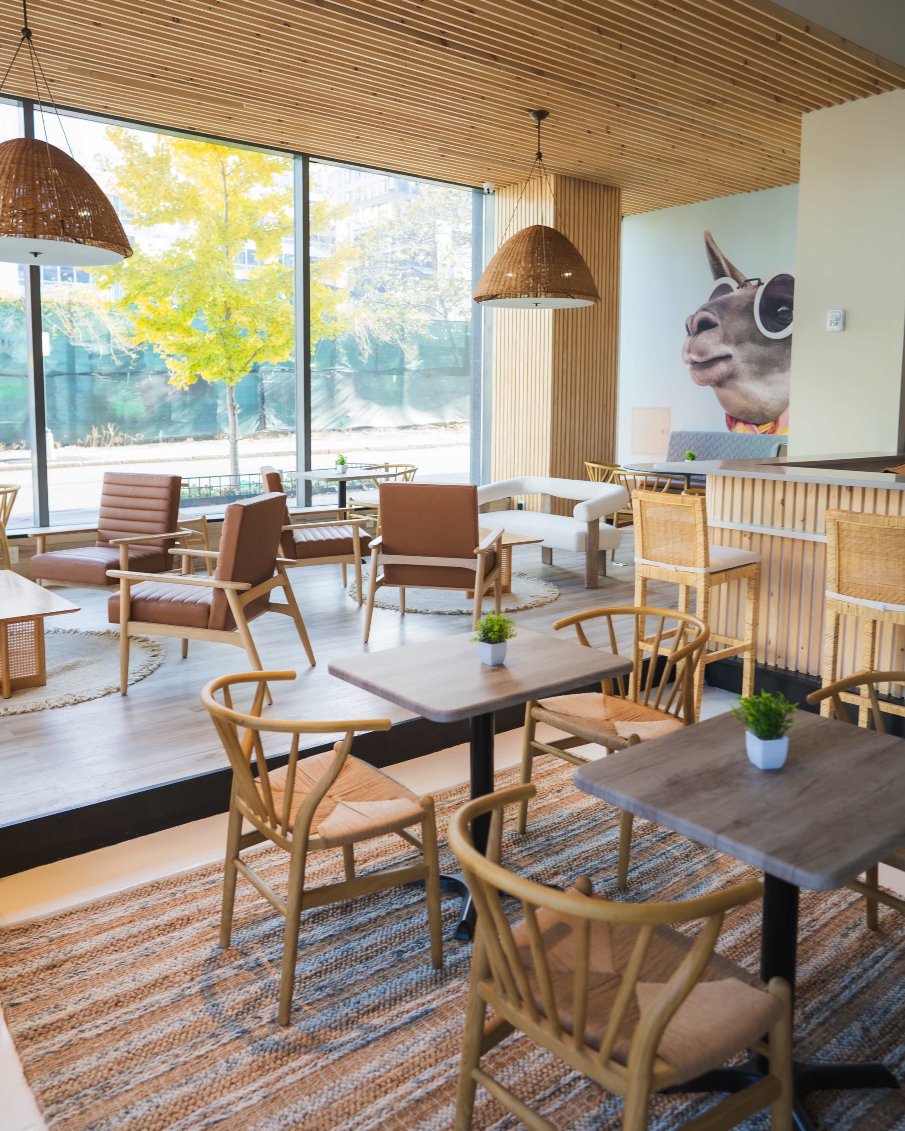 Stylish Boho DC Café + Bar with Full Food Menu and Liquor License Image in Southeast Washington, washington dc, DC