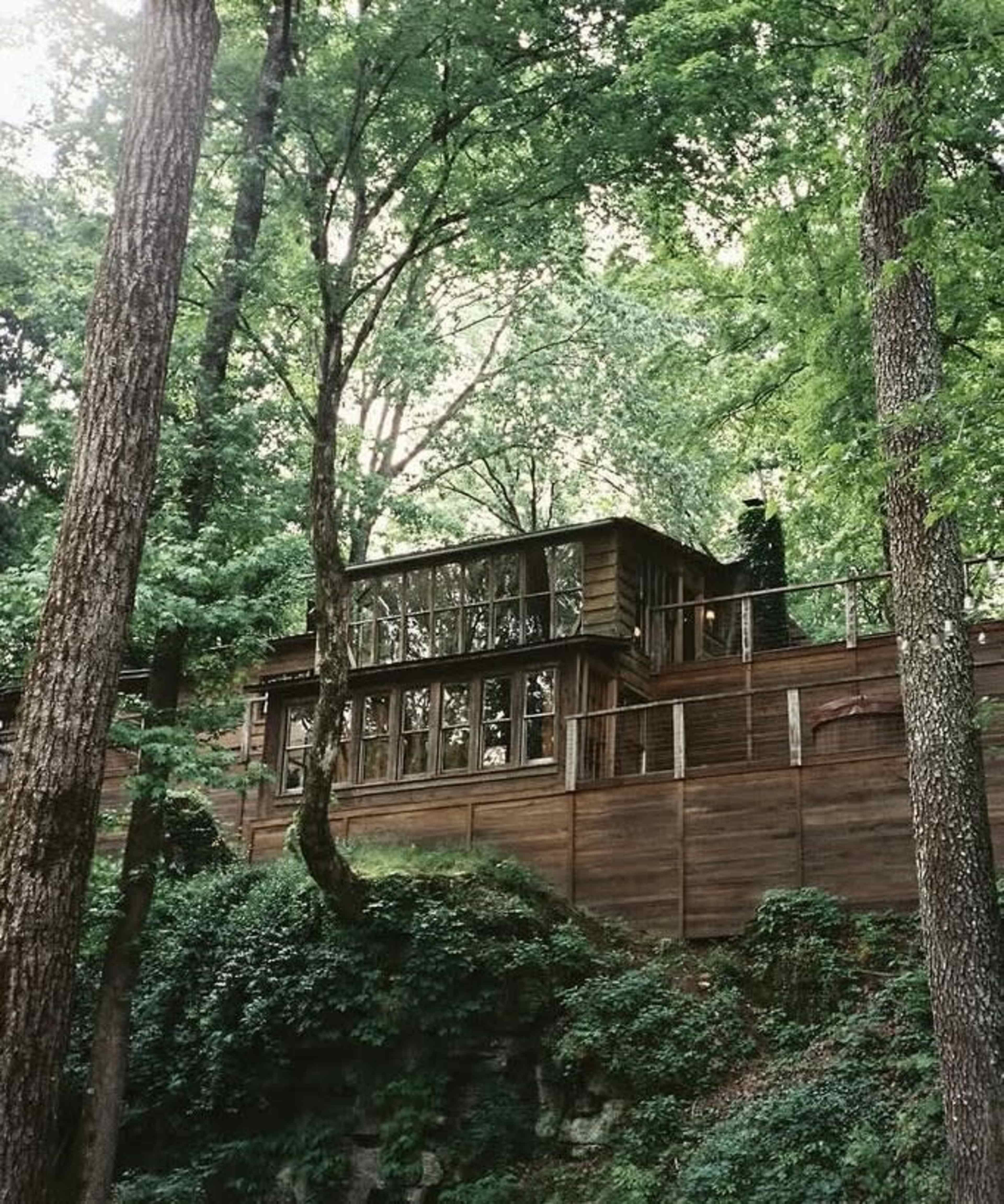 A modern wooden house is nestled among tall trees and greenery on a hillside, featuring large windows and a deck.