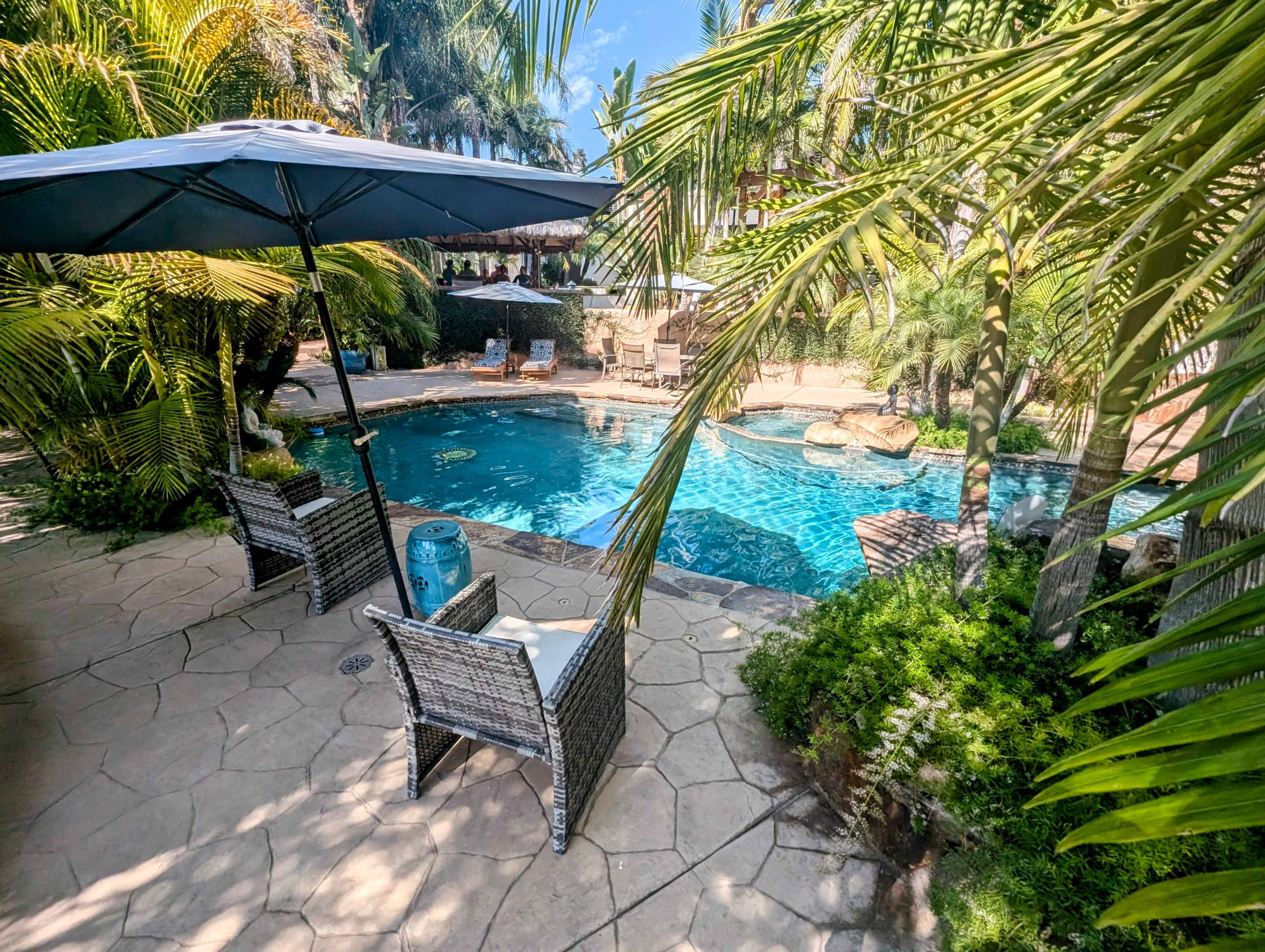 A backyard pool area surrounded by palm trees, featuring two chairs under an umbrella near the water.
